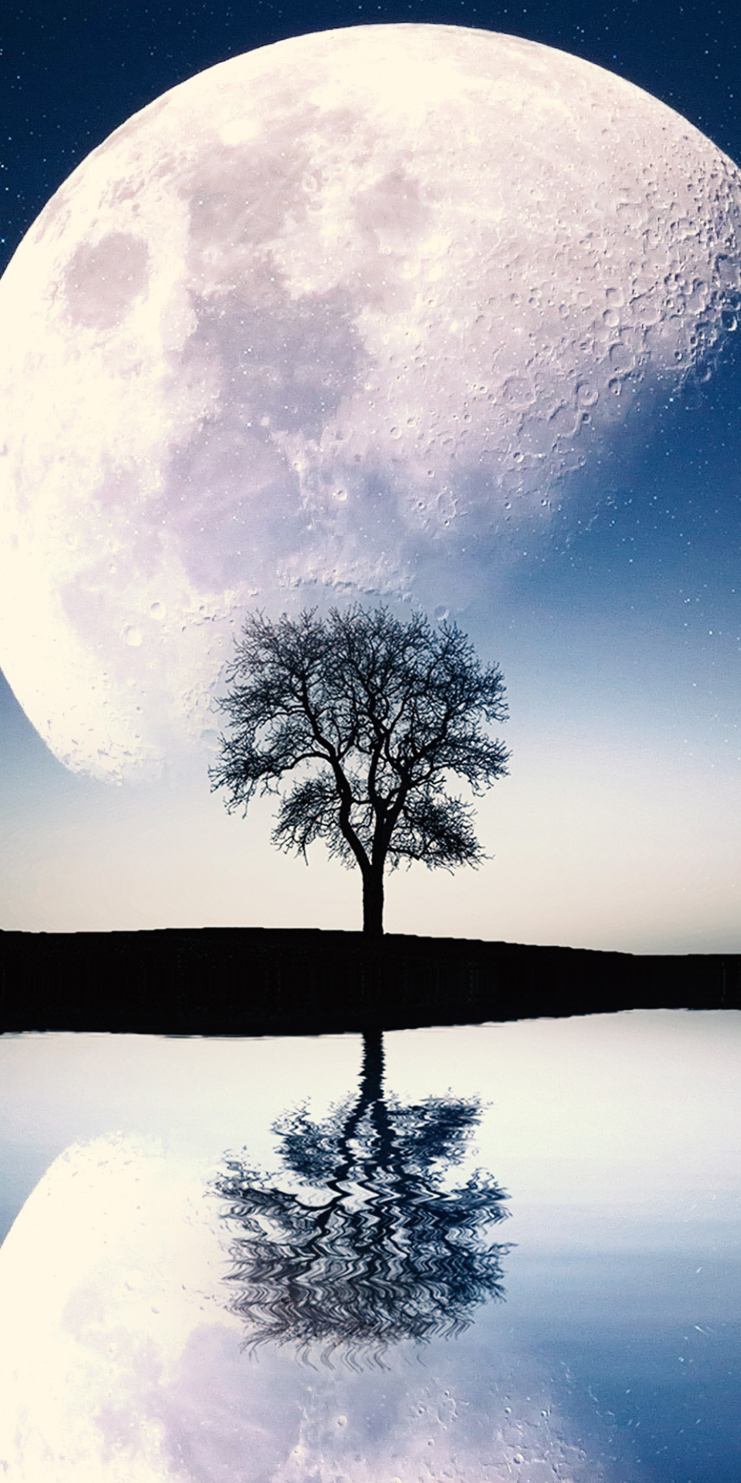 Download mobile wallpaper Moon, Reflection, Tree, Earth for free.