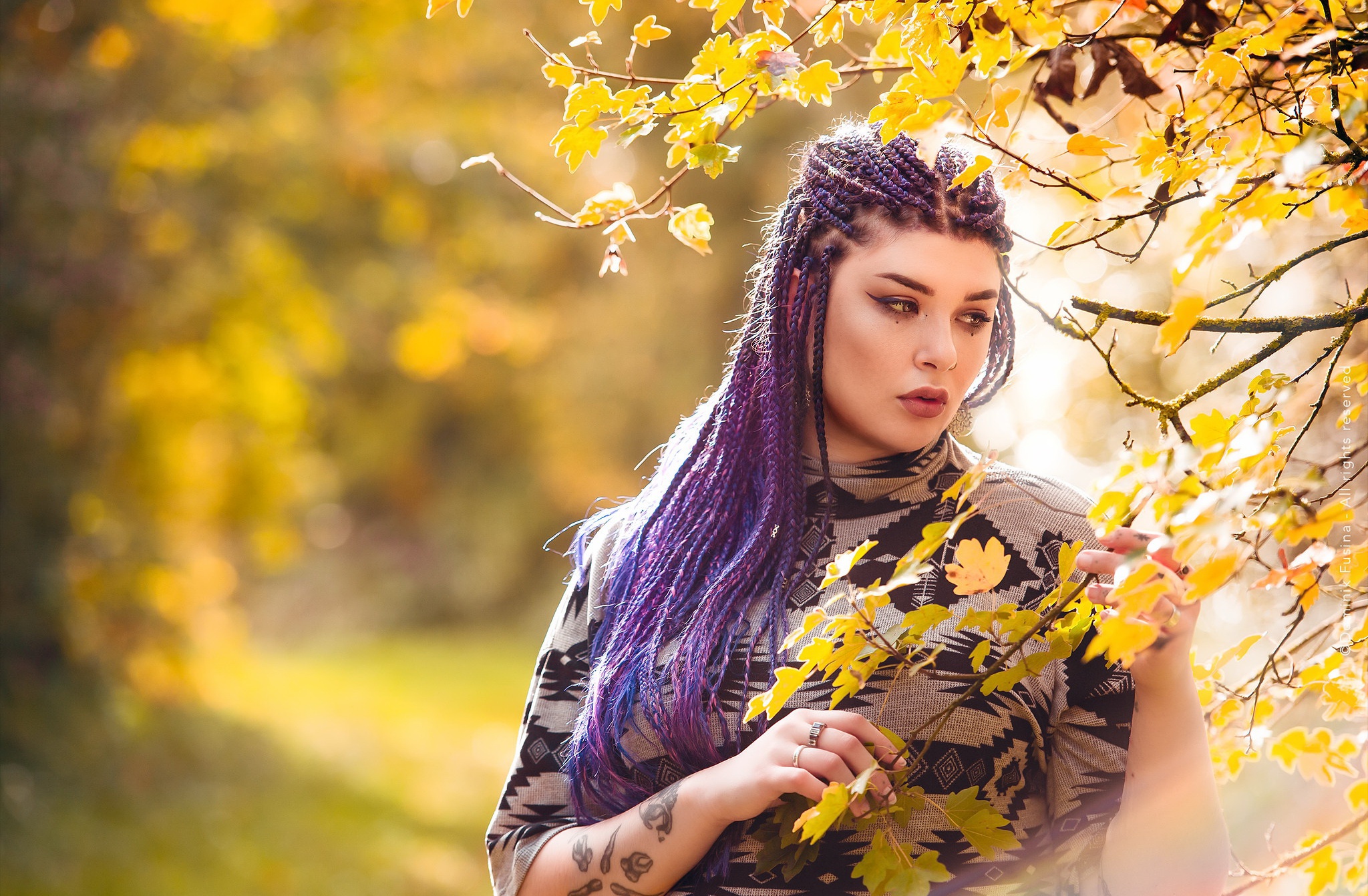 Free download wallpaper Model, Women, Braid, Purple Hair, Depth Of Field on your PC desktop