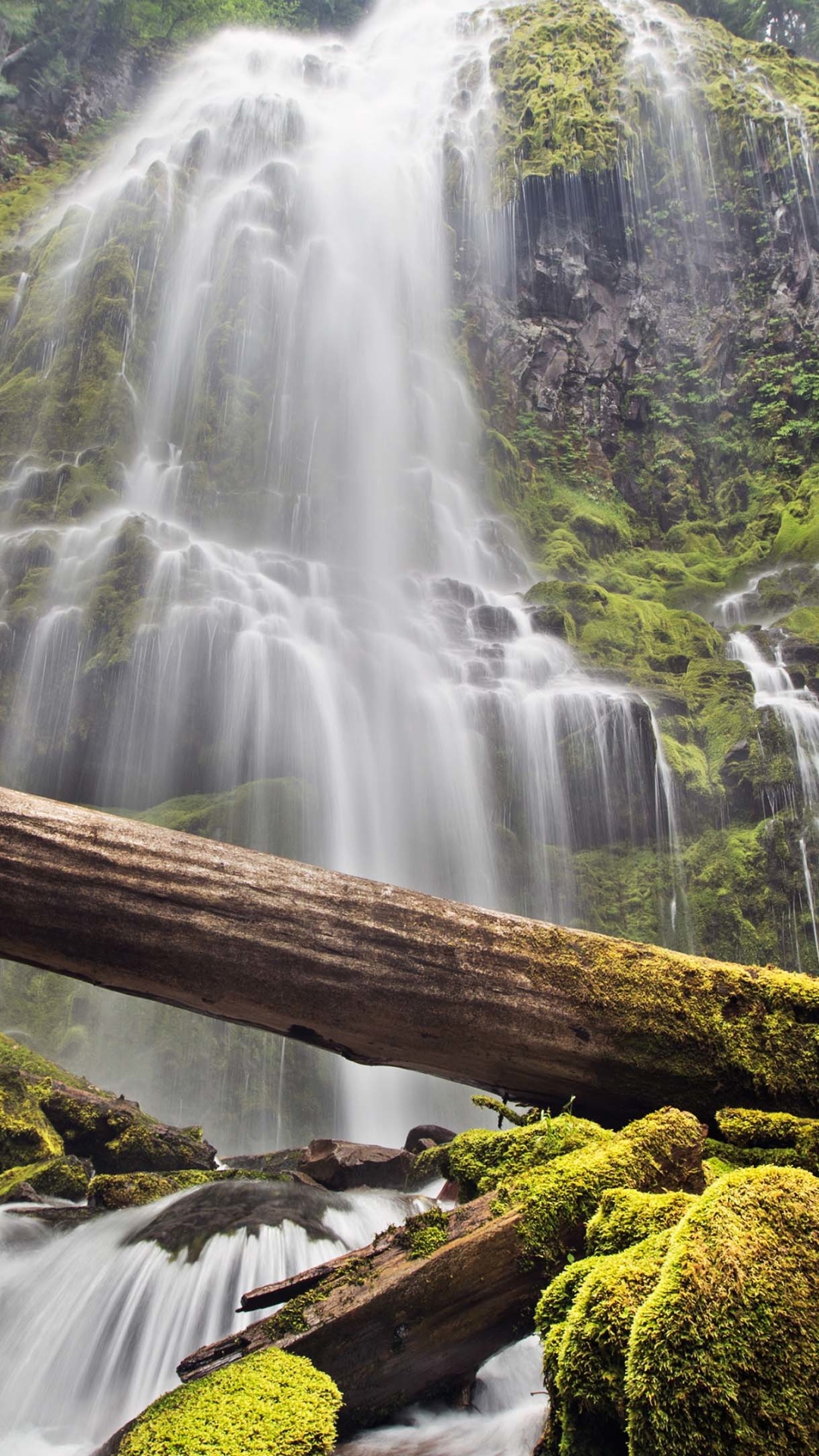 Handy-Wallpaper Wasserfälle, Wasserfall, Wald, Erde, Moos, Protokoll, Erde/natur kostenlos herunterladen.