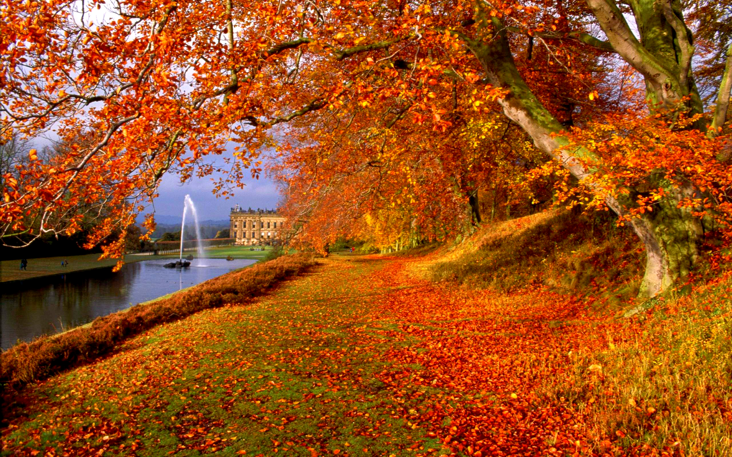 Free download wallpaper Photography, Fall on your PC desktop