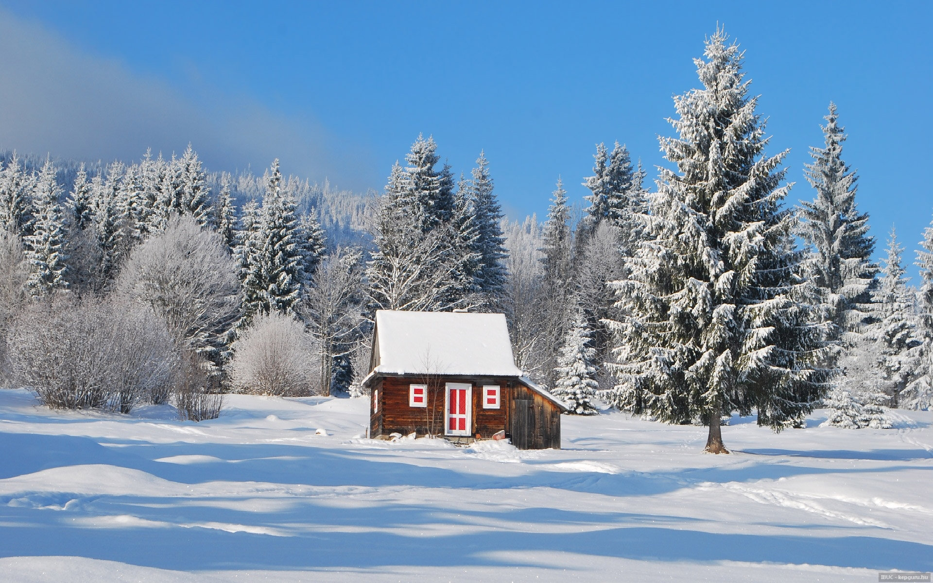 Handy-Wallpaper Winter, Fotografie kostenlos herunterladen.