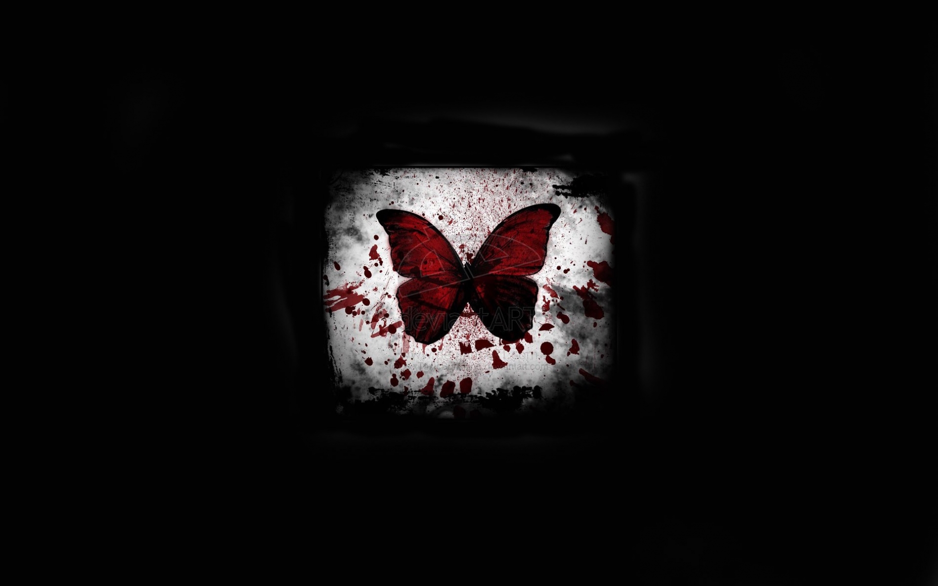 Desktop FHD butterflies, insects, background, black