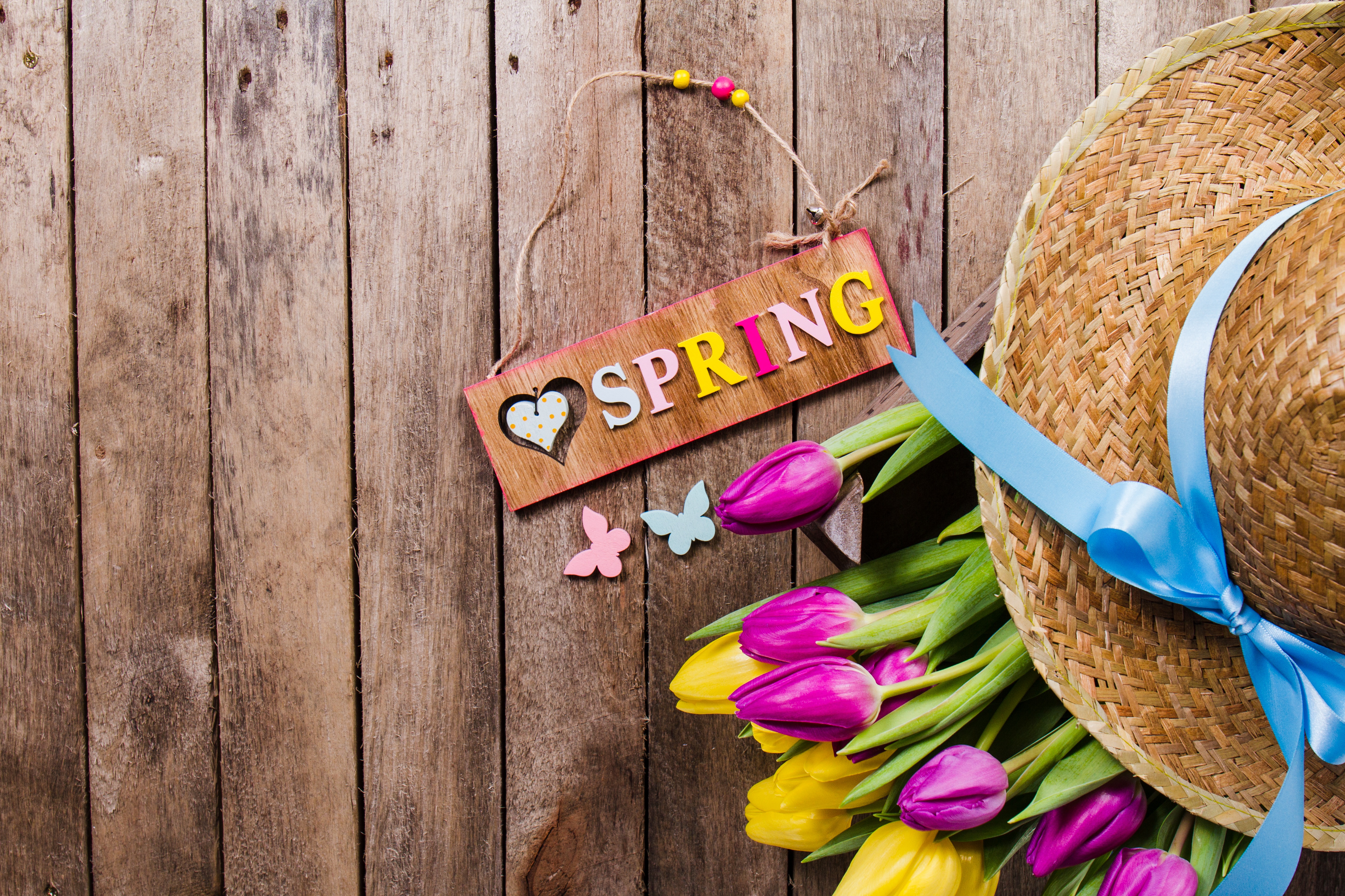 Скачати мобільні шпалери Натюрморт, Квітка, Весна, Художній, Тюльпан безкоштовно.