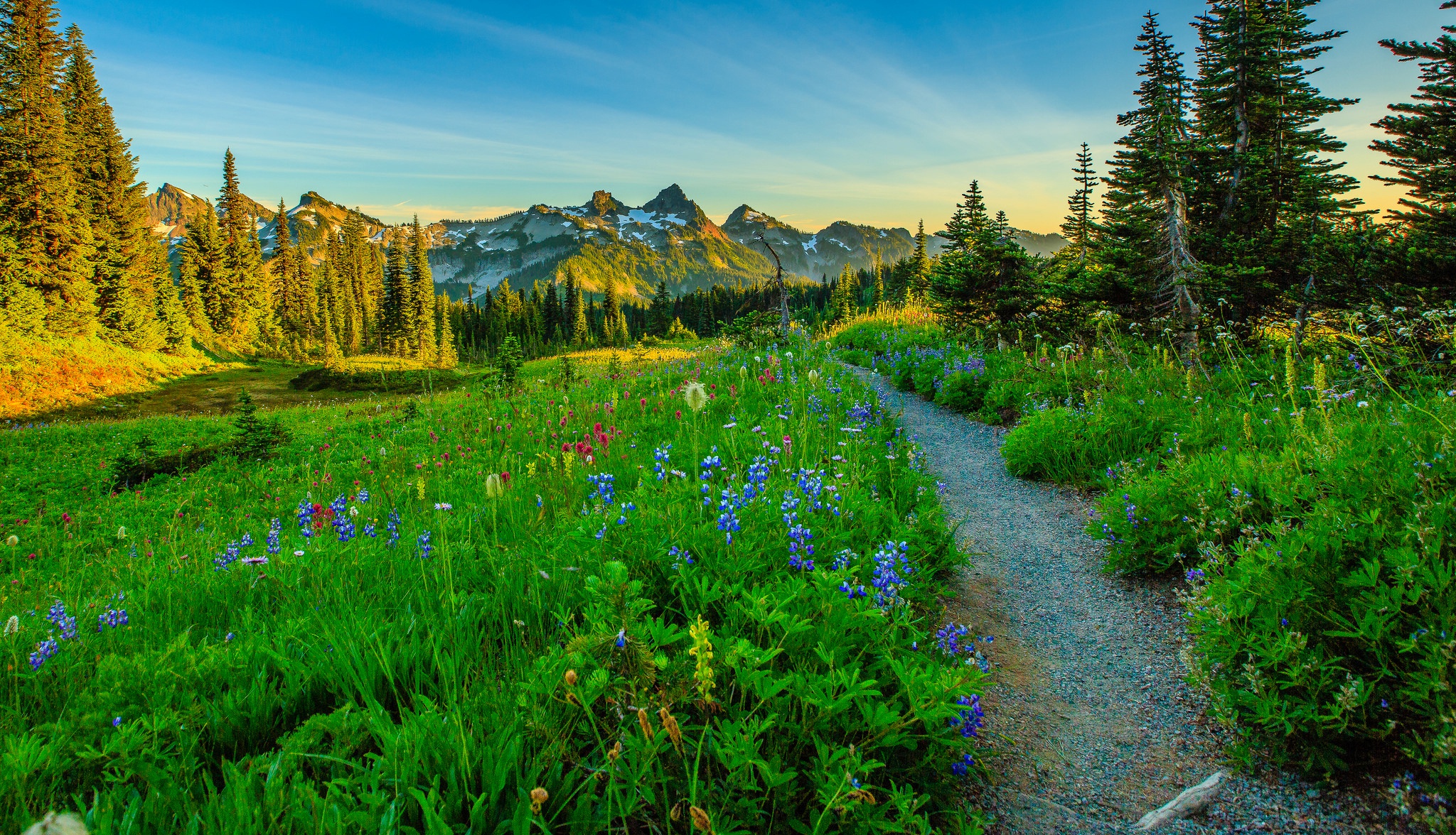 Free download wallpaper Landscape, Nature, Flower, Earth, Path, Meadow on your PC desktop