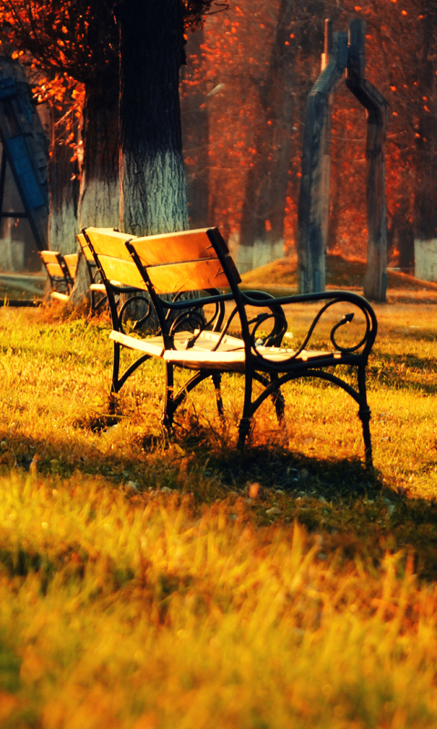 Download mobile wallpaper Fall, Bench, Man Made for free.