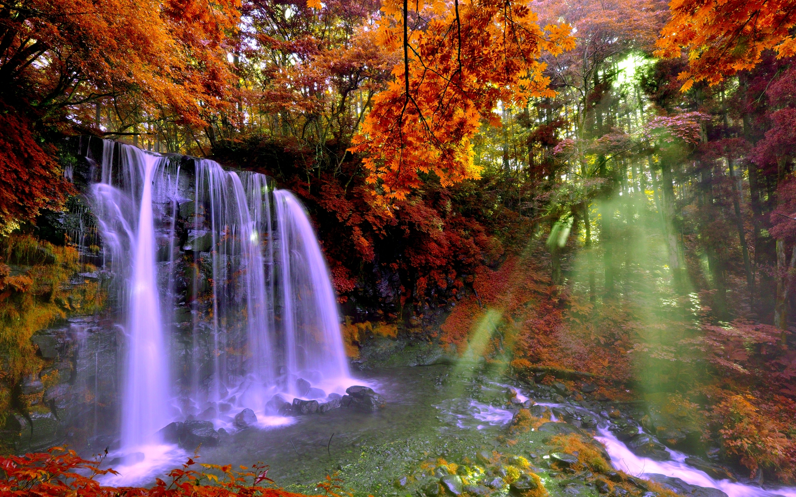 Laden Sie das Herbst, Wasserfälle, Wasserfall, Wald, Baum, Sonnenstrahl, Erde/natur, Sonnenschein-Bild kostenlos auf Ihren PC-Desktop herunter