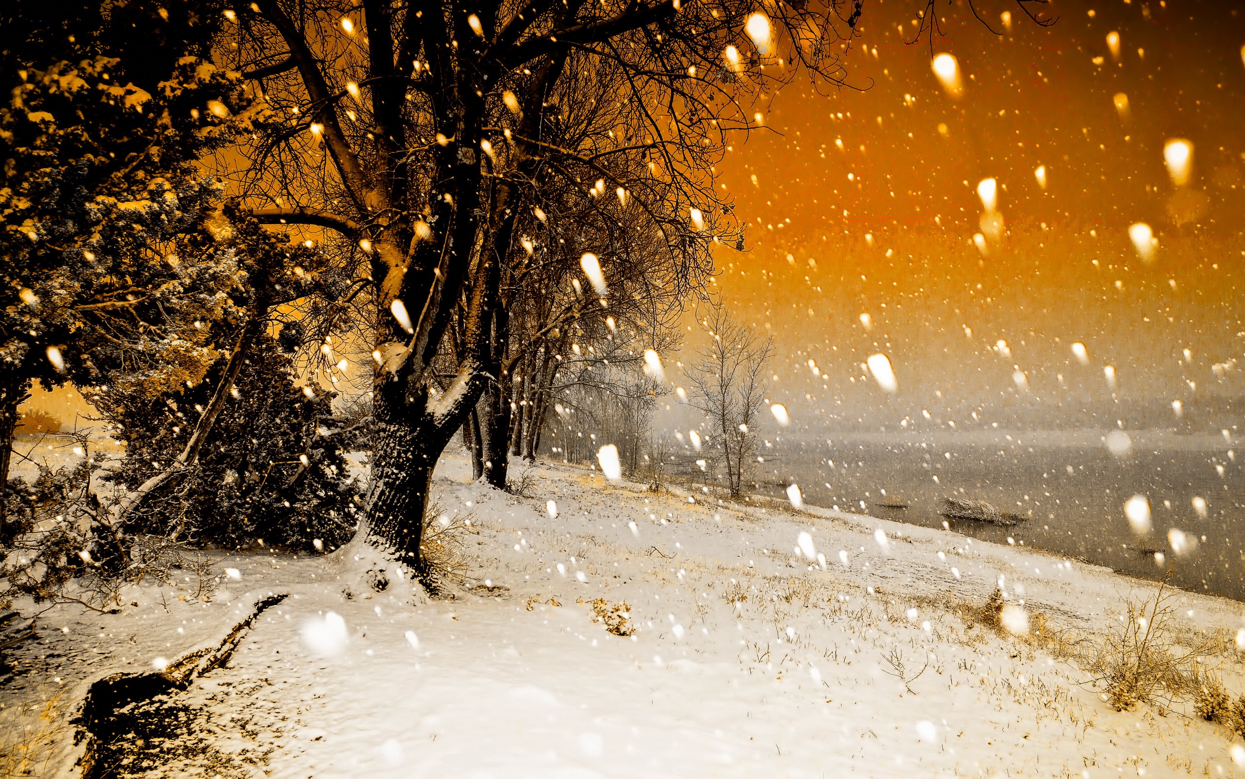 Download mobile wallpaper Winter, Nature, Sunset, Snow, Tree, Earth, Snowfall for free.