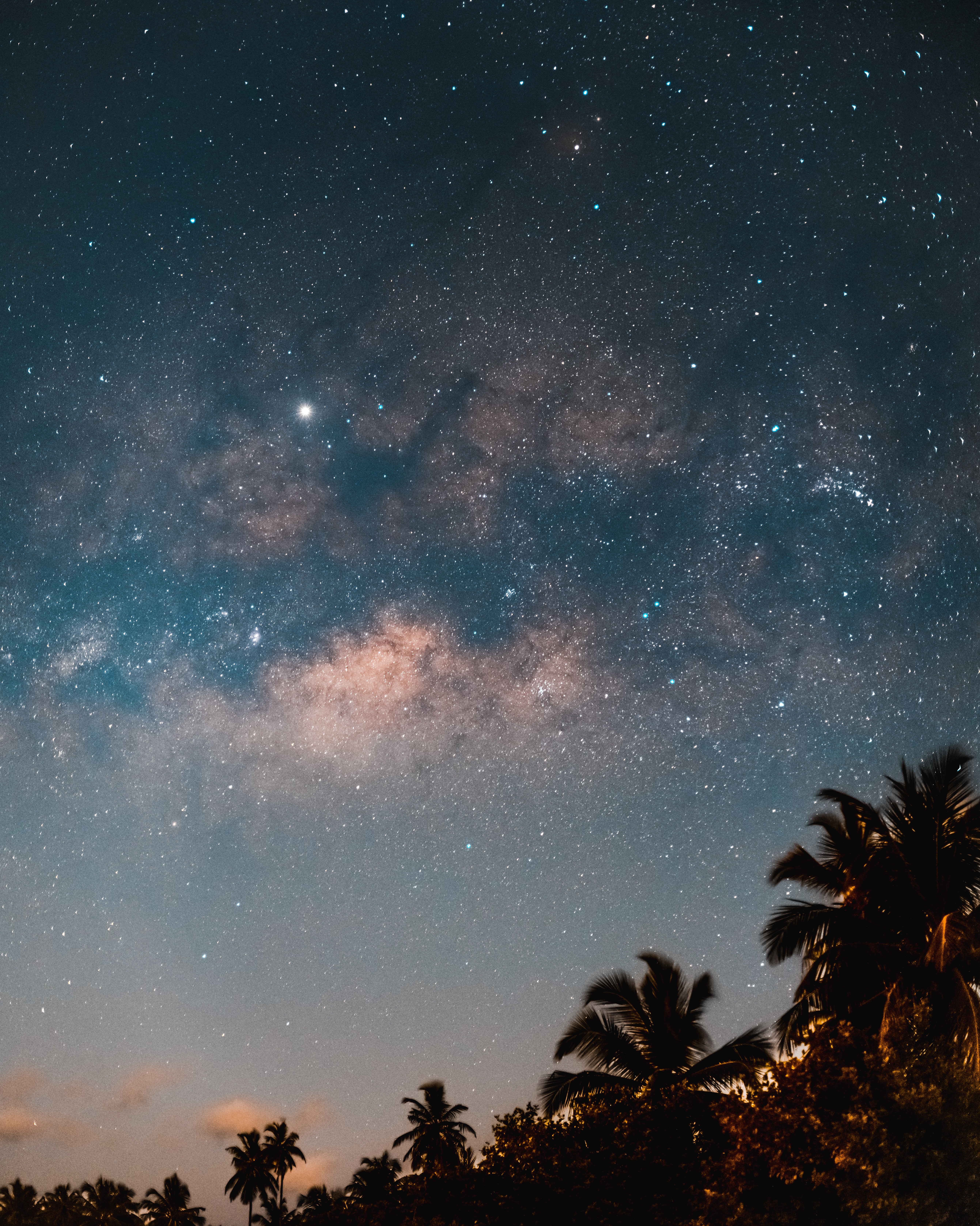 Download mobile wallpaper Trees, Night, Palms, Starry Sky, Dark for free.