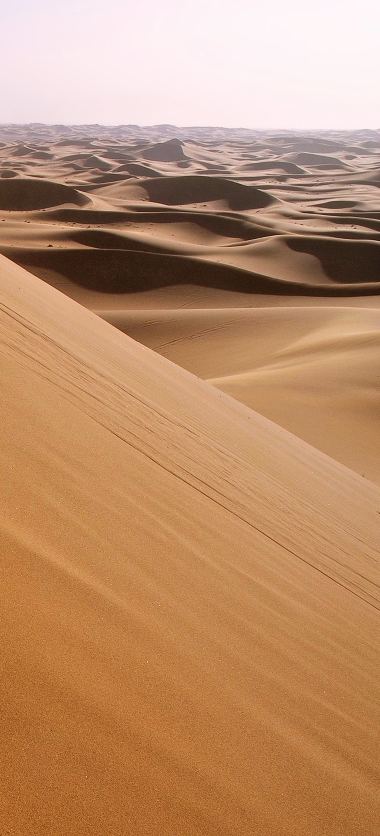 無料モバイル壁紙地球, 砂丘, サハラ, アフリカ, 荒野, 砂, アルジェリアをダウンロードします。