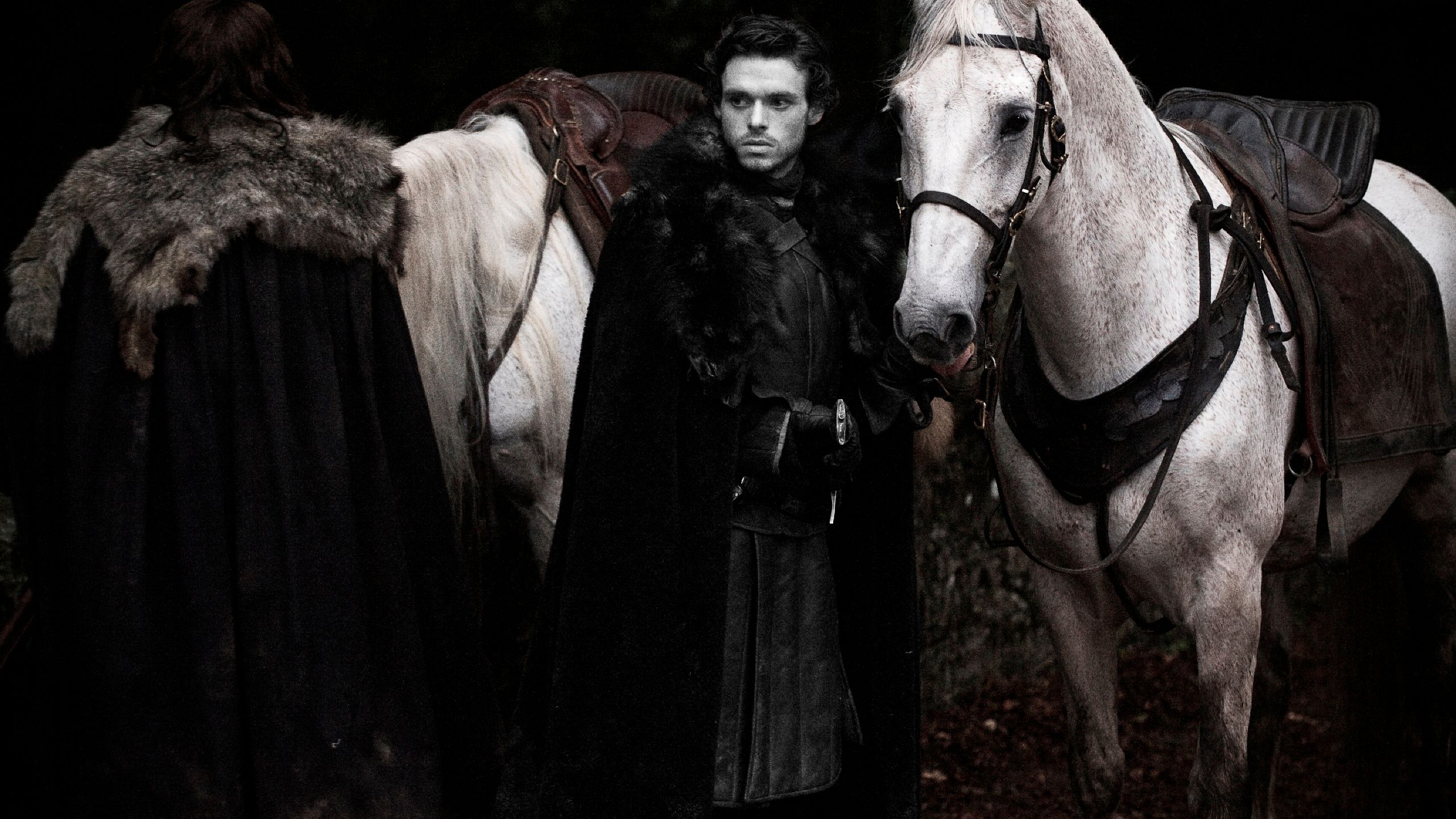 Download mobile wallpaper Game Of Thrones, Tv Show, Robb Stark for free.