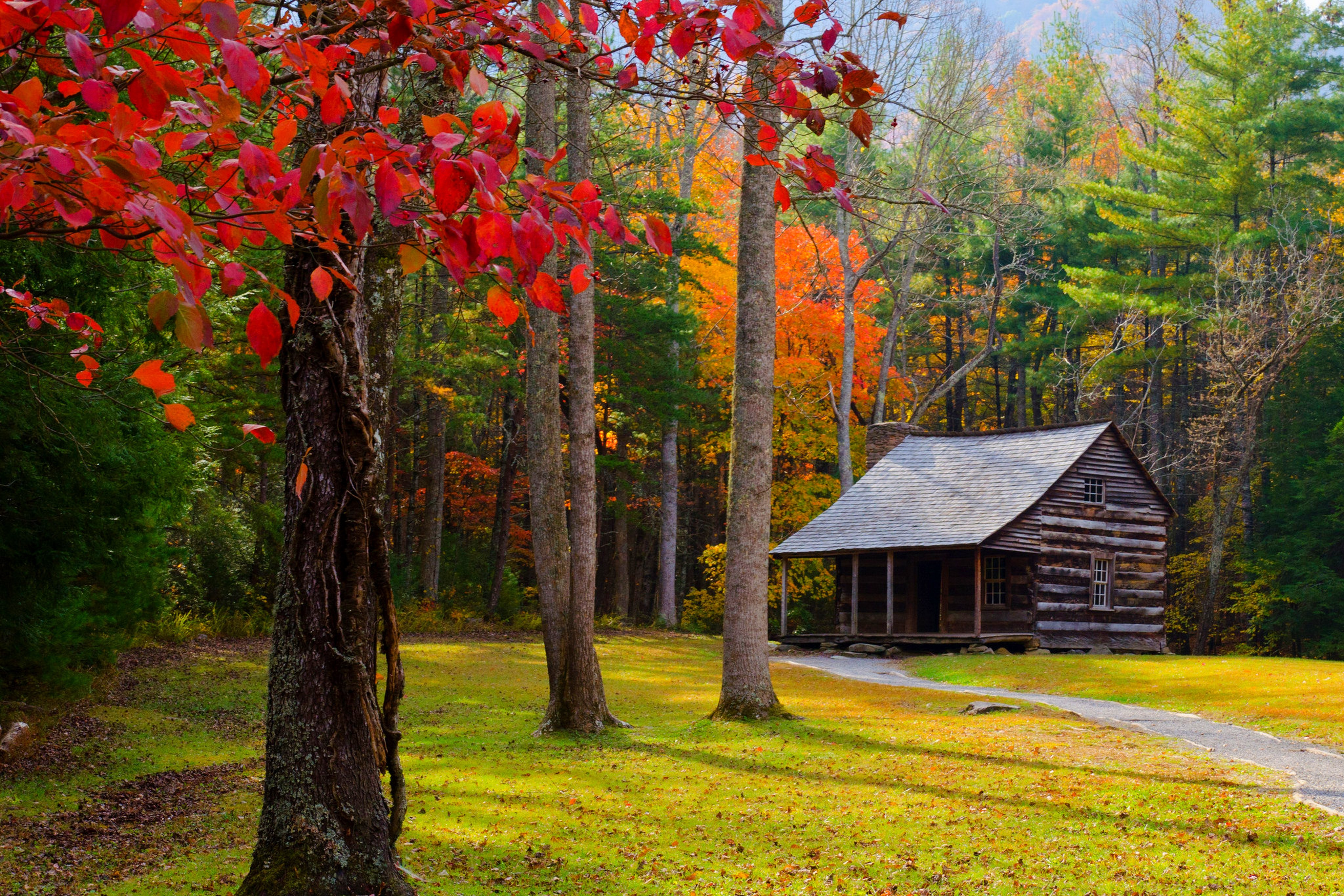 Download mobile wallpaper Fall, Cabin, Man Made for free.