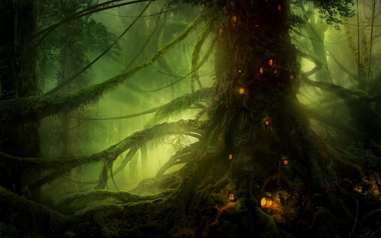 Free download wallpaper Fantasy, Forest on your PC desktop