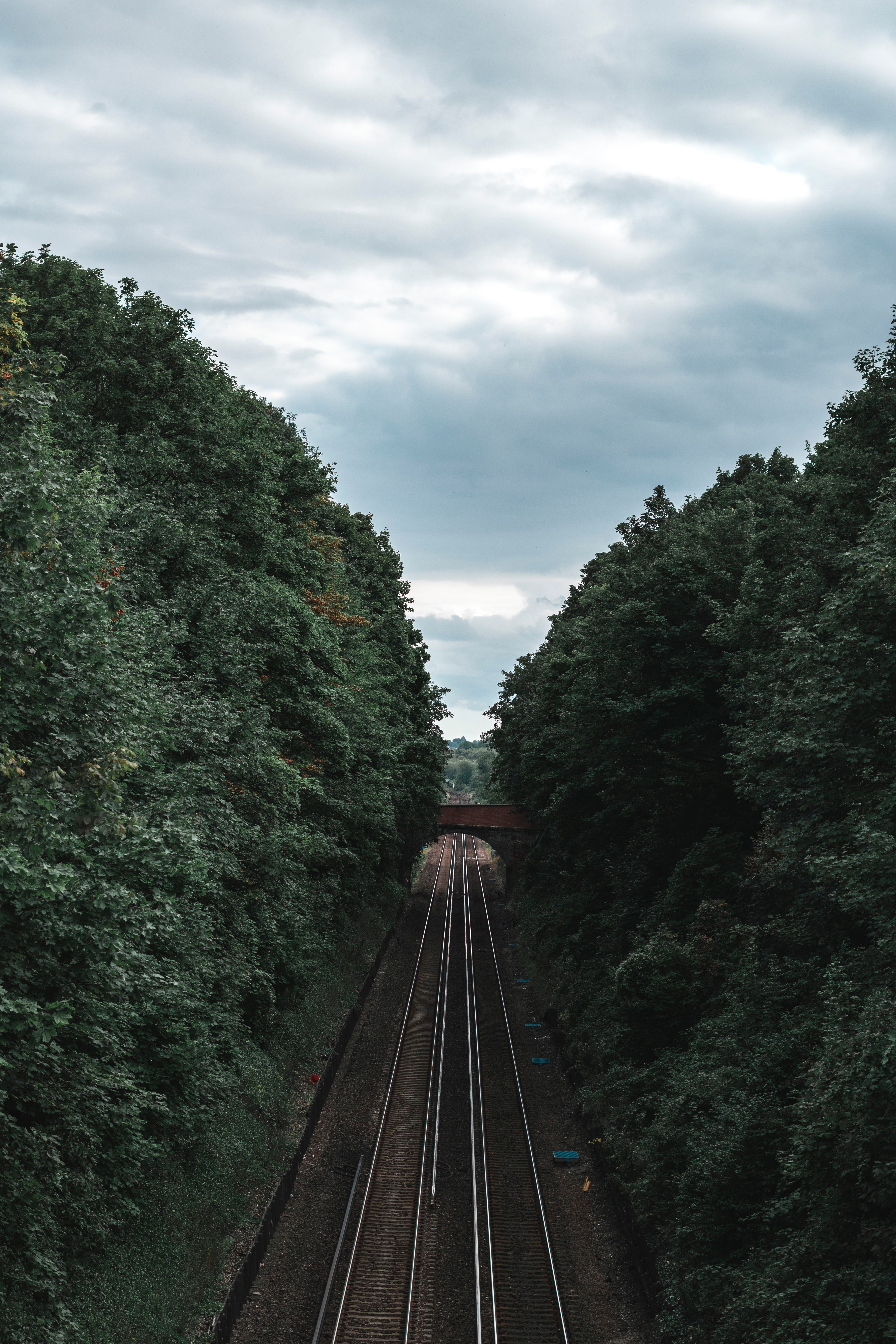 tunnel, trees, miscellanea, miscellaneous, corridor, railway, rails Full HD