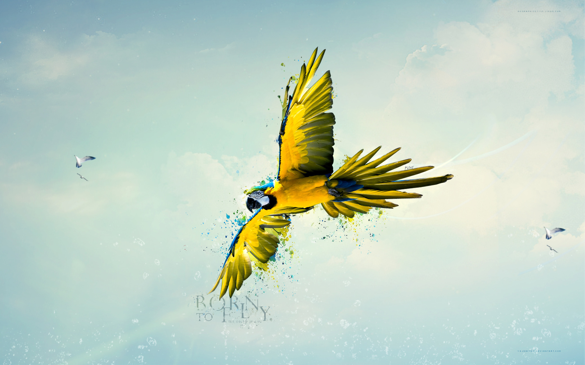 Descarga gratis la imagen Animales, Aves, Guacamayo Azul Y Amarillo en el escritorio de tu PC