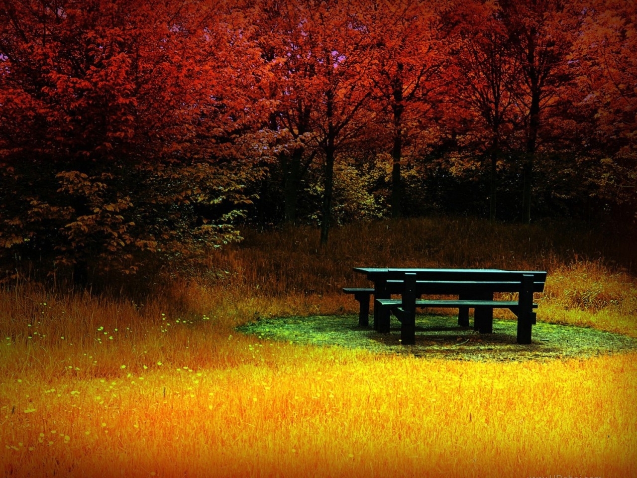 Download mobile wallpaper Landscape, Autumn, Objects for free.