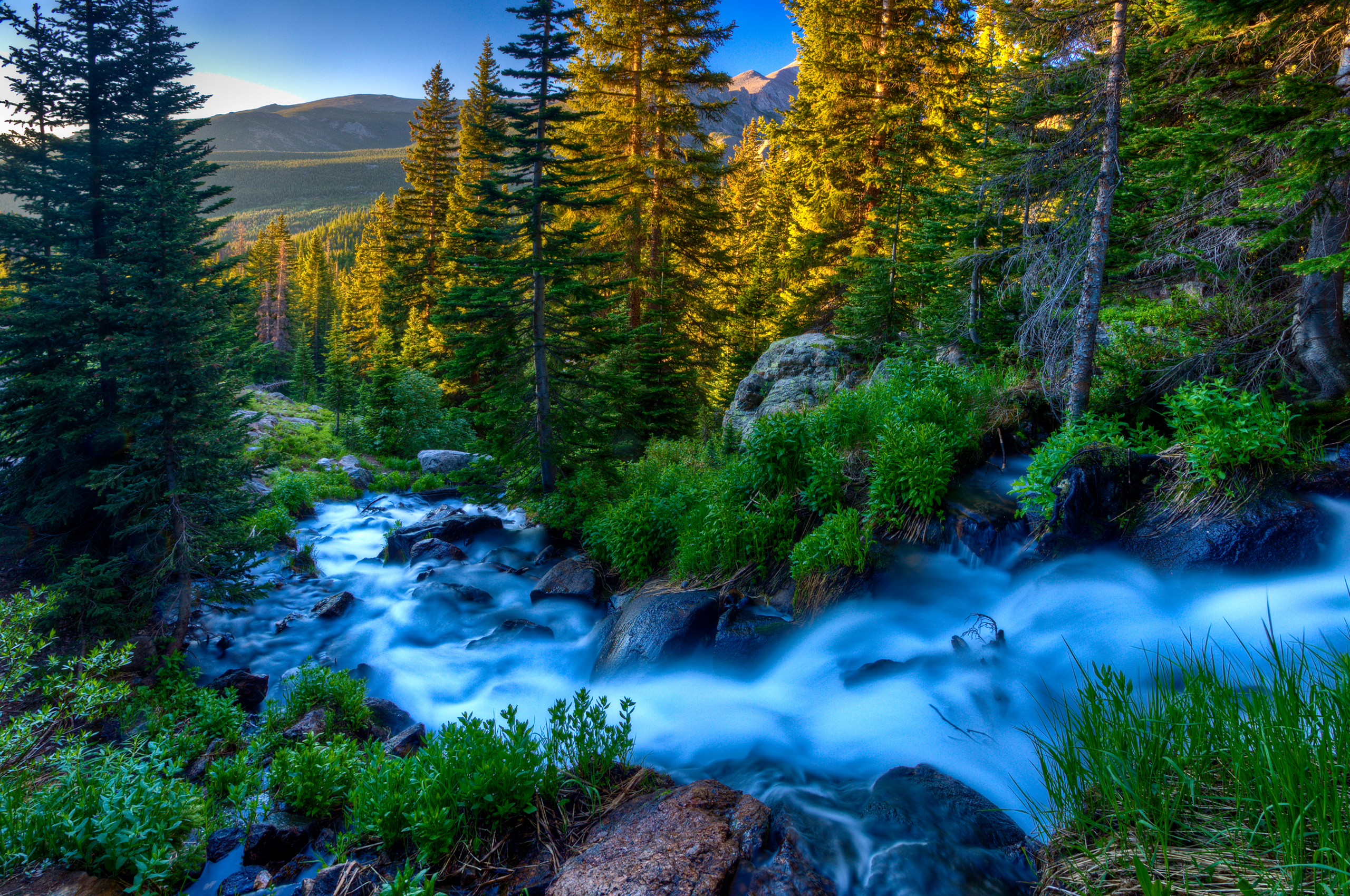 Laden Sie das Wald, Strom, Erde/natur-Bild kostenlos auf Ihren PC-Desktop herunter