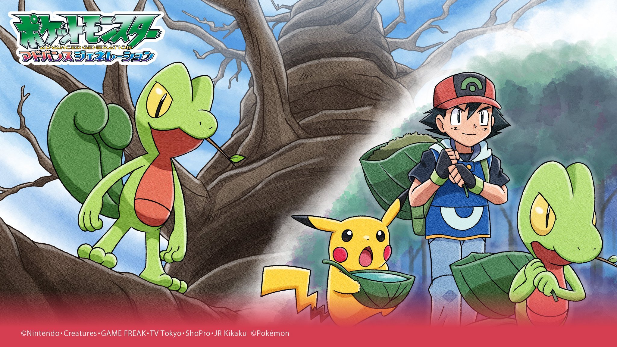 Descarga gratuita de fondo de pantalla para móvil de Gorra, Pokémon, Animado, Pikachu, Treecko (Pokémon), Ceniza Ketchum.