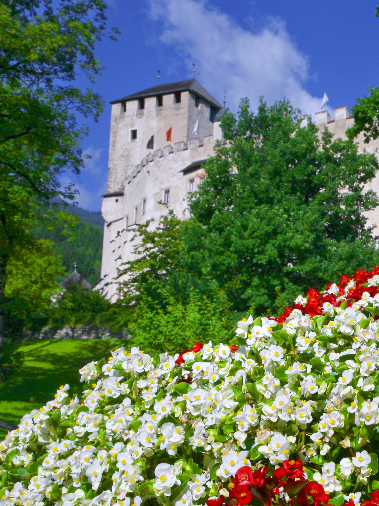 Скачать картинку Замок, Цветок, Австрия, Весна, Тироль, Белый Цветок, Фиолетовый Цветок, Сделано Человеком в телефон бесплатно.