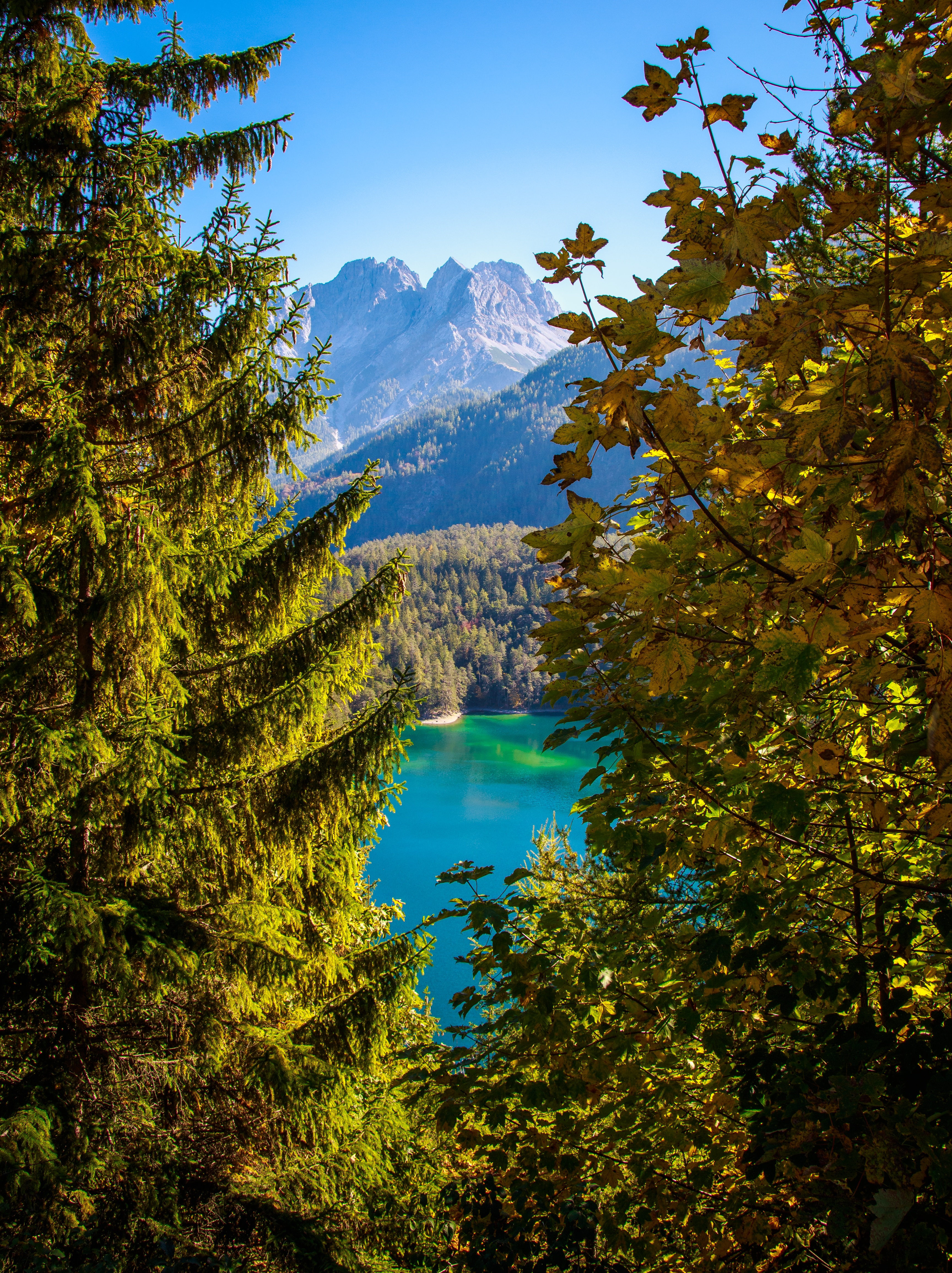 austria, nature, mountains, lake, branches, tyrol Desktop home screen Wallpaper