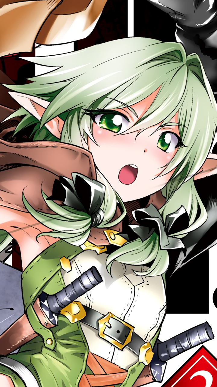 Download mobile wallpaper Anime, Goblin Slayer, High Elf Archer (Goblin Slayer) for free.