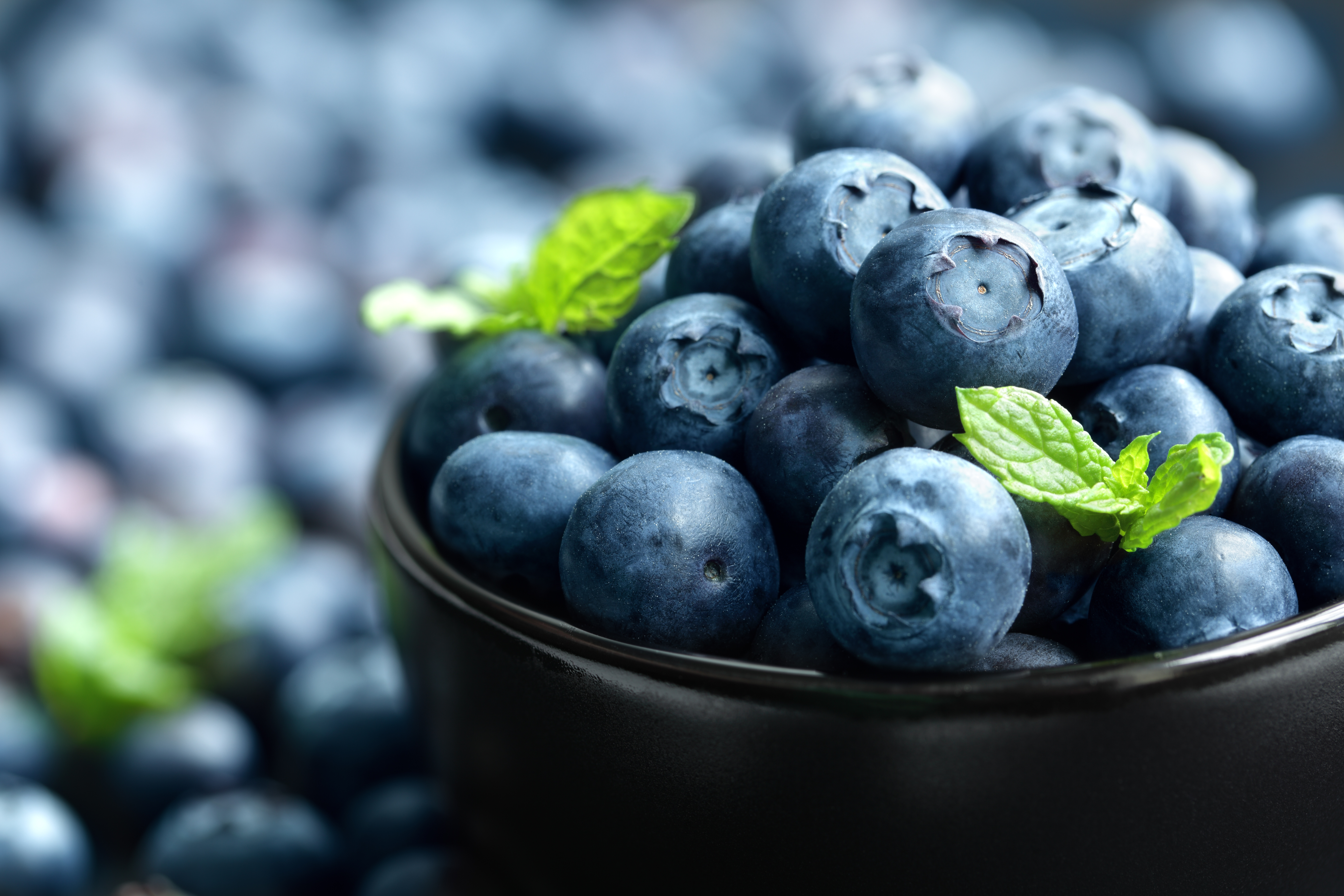 Download mobile wallpaper Food, Blueberry, Berry for free.