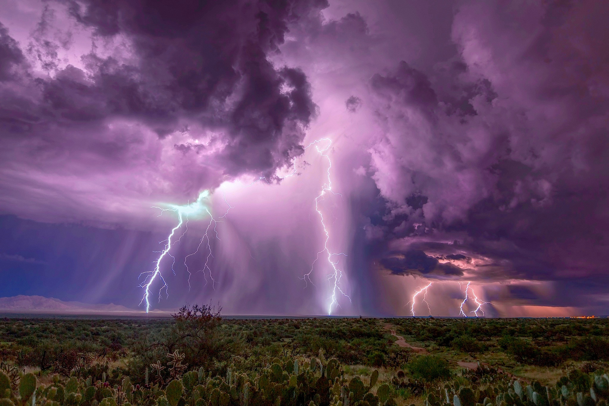 Laden Sie das Blitz, Horizont, Kaktus, Sturm, Wolke, Steppe, Fotografie, Nacht-Bild kostenlos auf Ihren PC-Desktop herunter