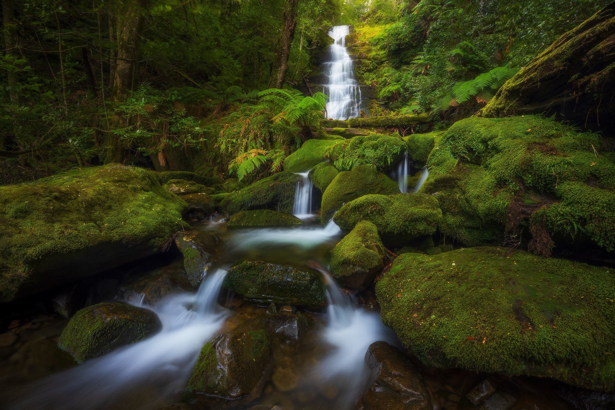 Téléchargez gratuitement l'image Cascades, Verdure, Australie, Terre/nature, Chûte D'eau sur le bureau de votre PC