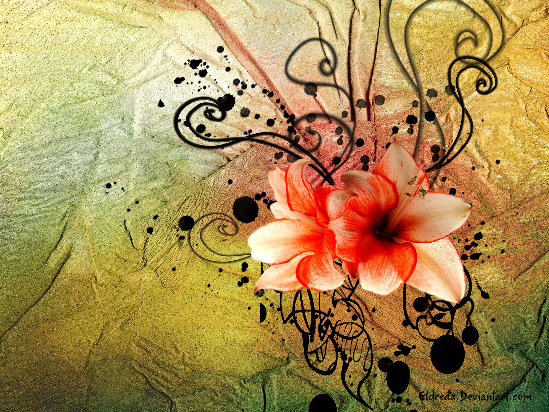 Free download wallpaper Flowers, Flower, Design, Lily, Artistic, Floral on your PC desktop