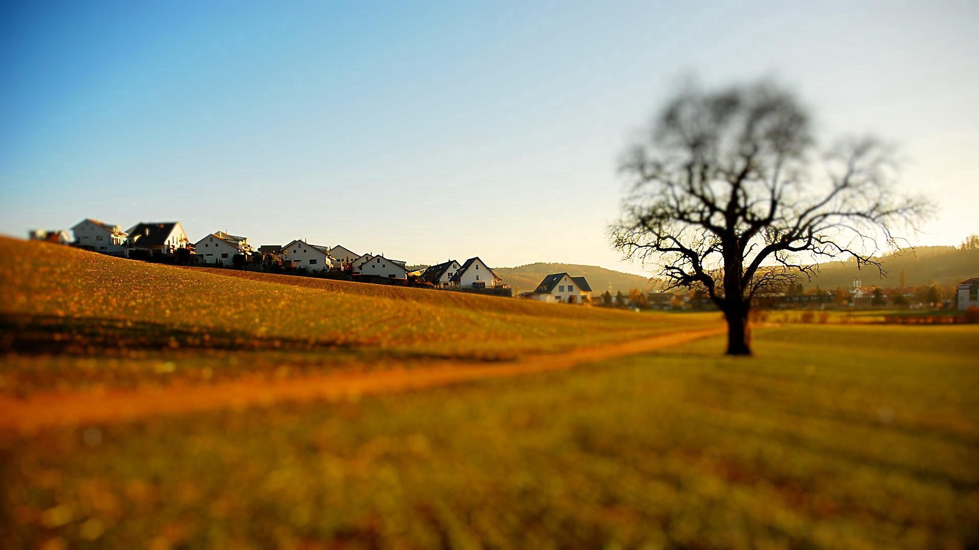 utah, nature, houses, wood, tree, blur, lonely, polyana, glade, effect, small houses, decrease, diminution