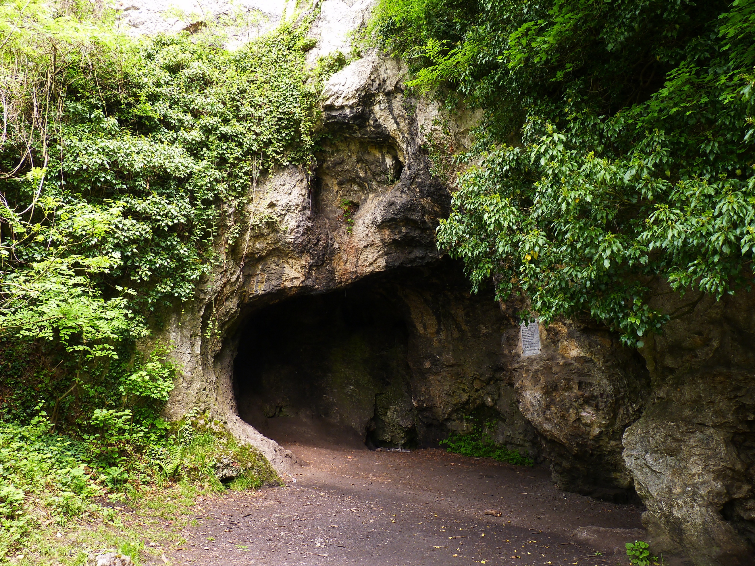 cave, mountains, nature, belgium, grotto 32K