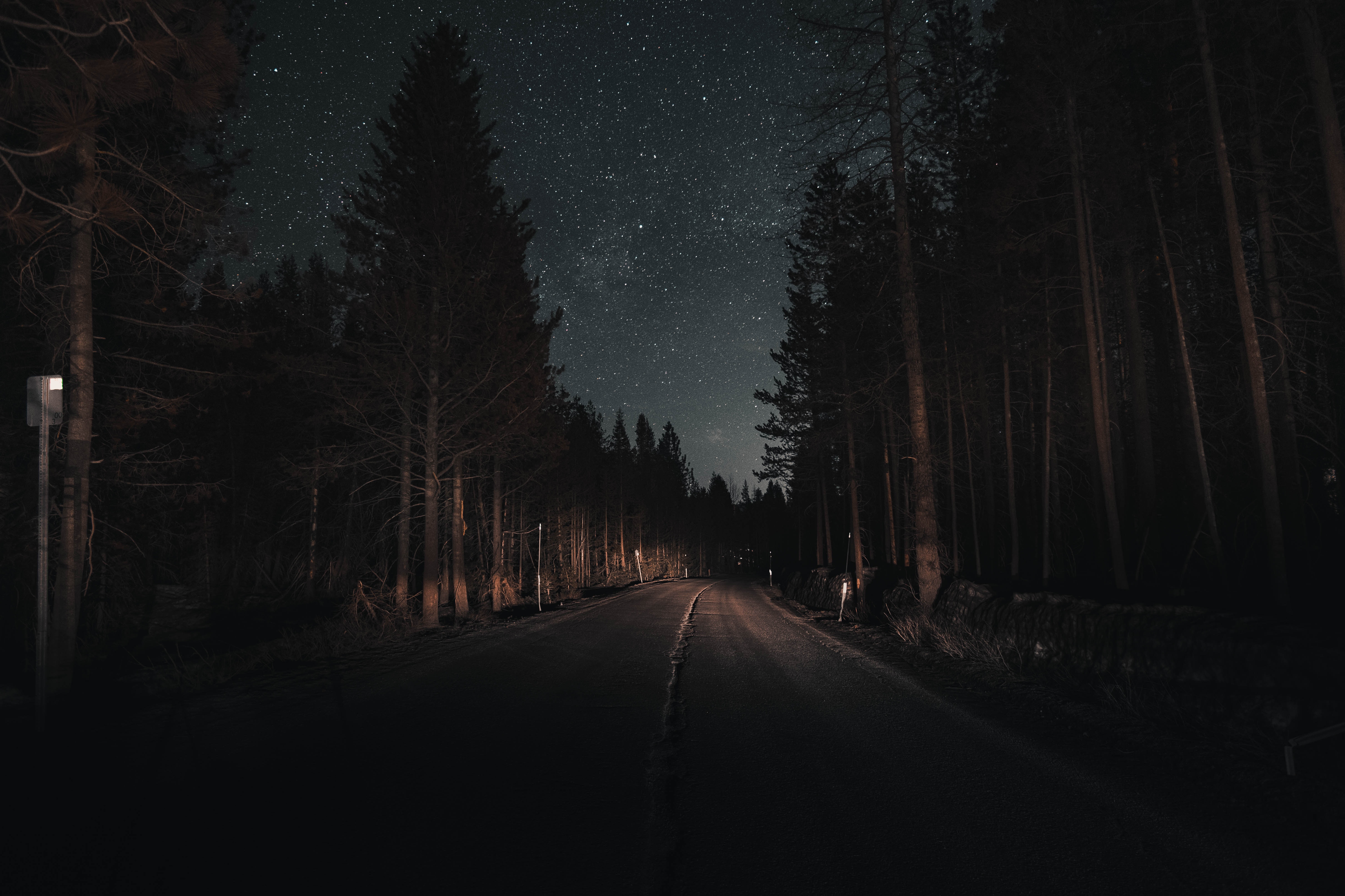 154859 скачать обои дорога, ночь, звездное небо, поворот, природа, лес - заставки и картинки бесплатно