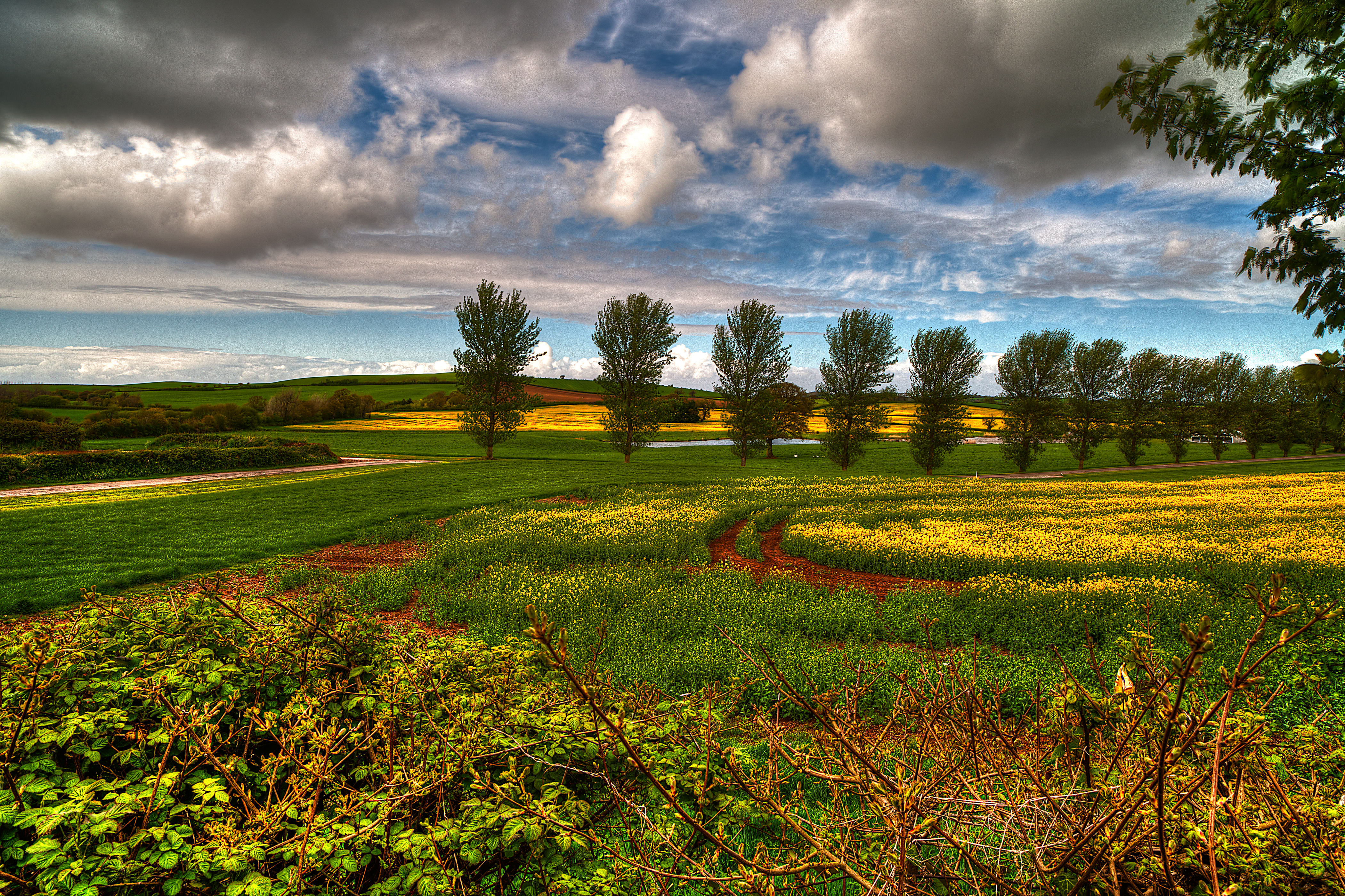 Handy-Wallpaper Landschaft, Erde/natur kostenlos herunterladen.