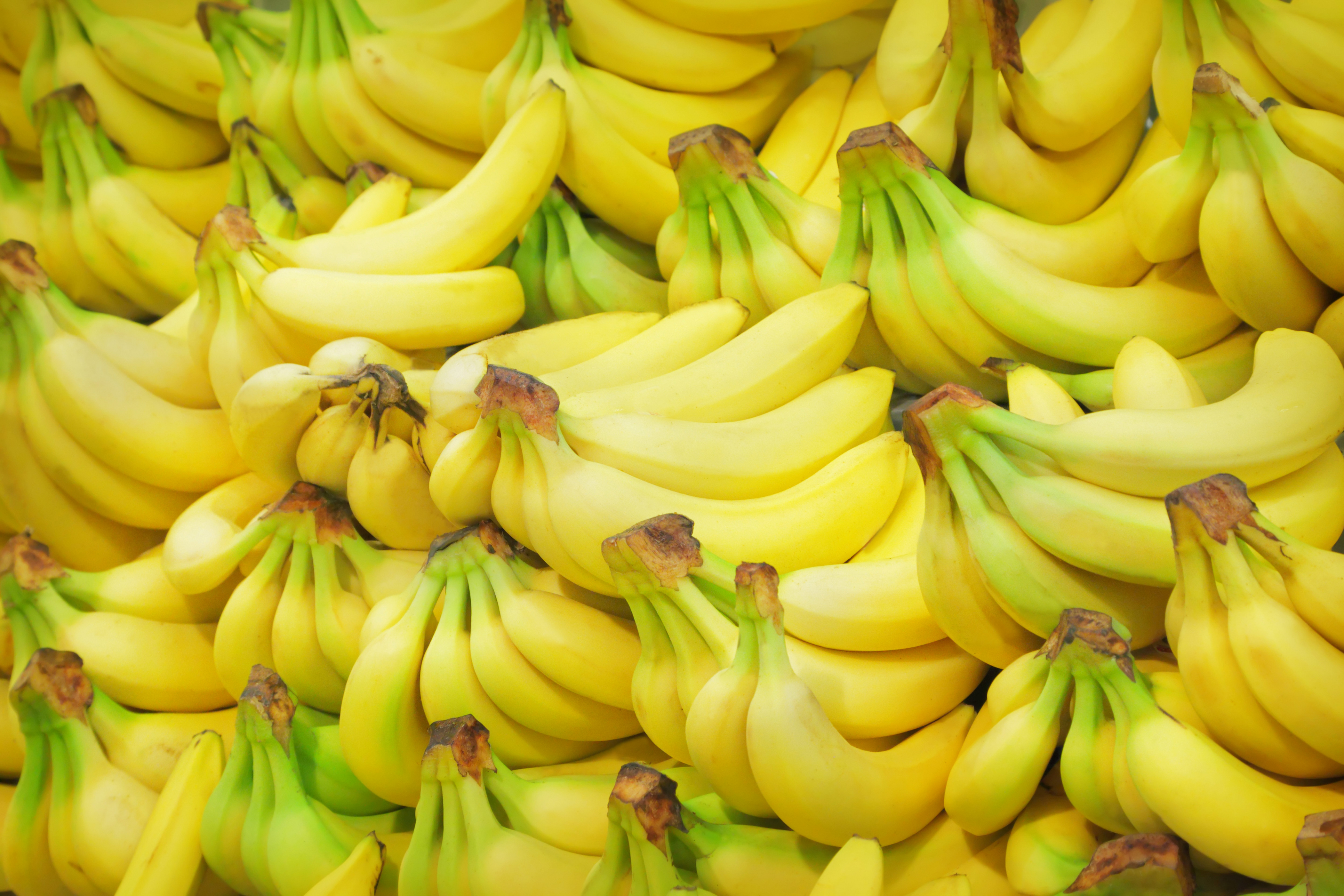 391956 descargar imagen alimento, plátano, fruta, amarillo, frutas: fondos de pantalla y protectores de pantalla gratis