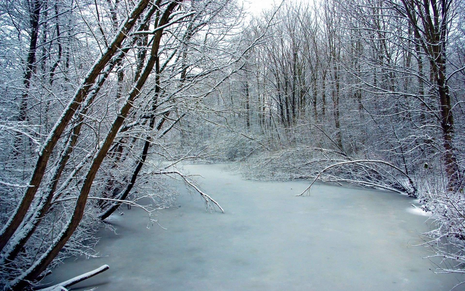 Handy-Wallpaper Winter, Erde/natur kostenlos herunterladen.