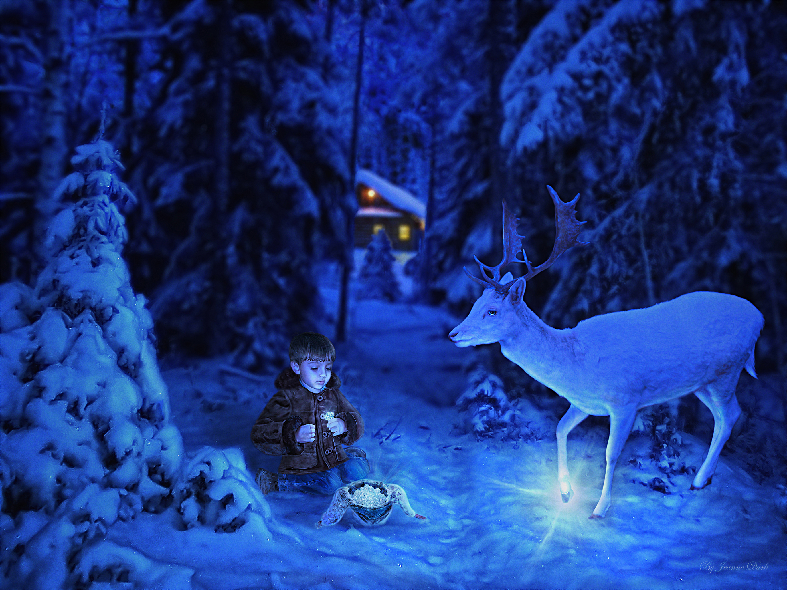 Free download wallpaper Magic, Fantasy, Night, Christmas, Child, Reindeer, Little Boy on your PC desktop