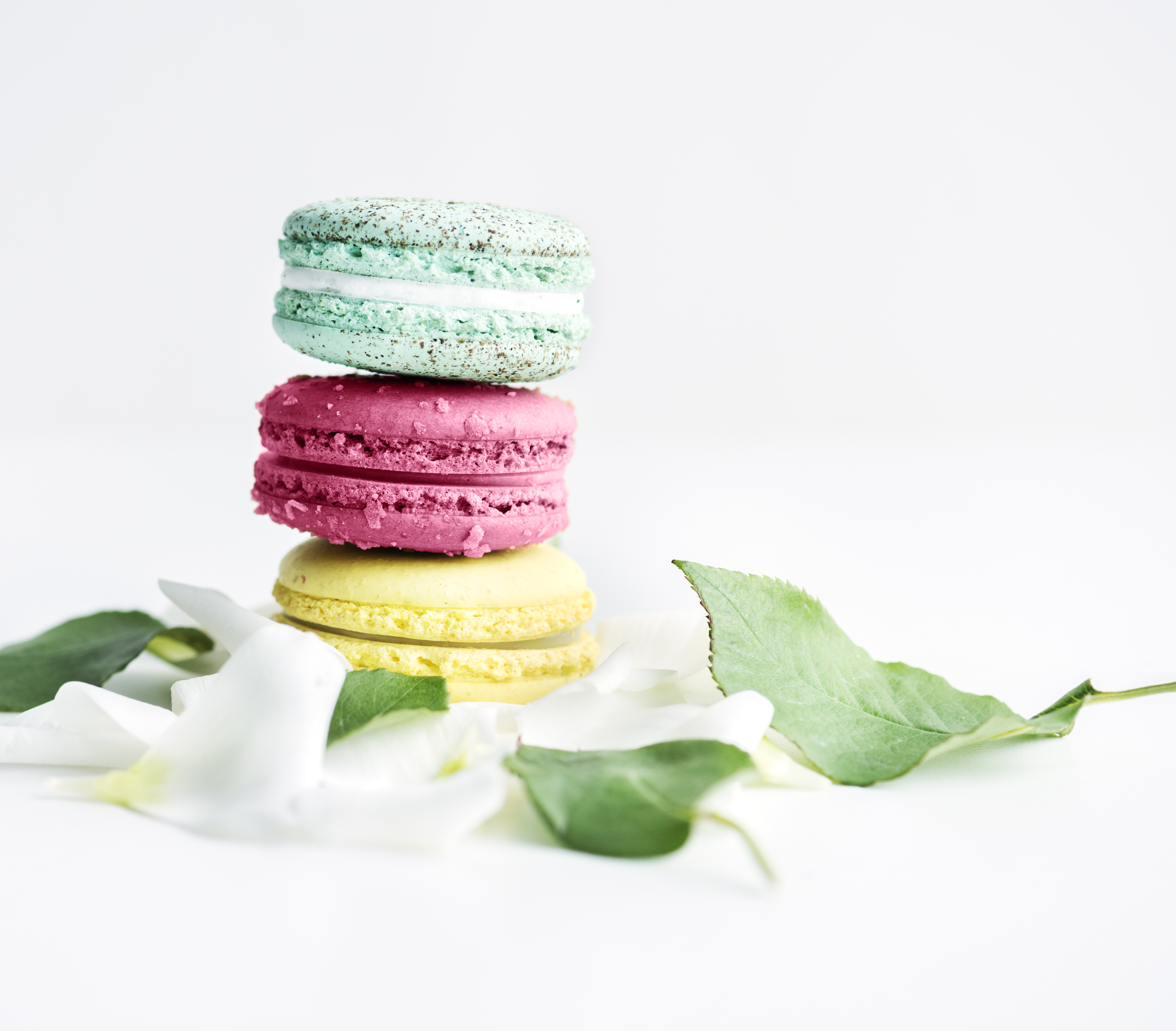 Téléchargez gratuitement l'image Nourriture, Macaron sur le bureau de votre PC