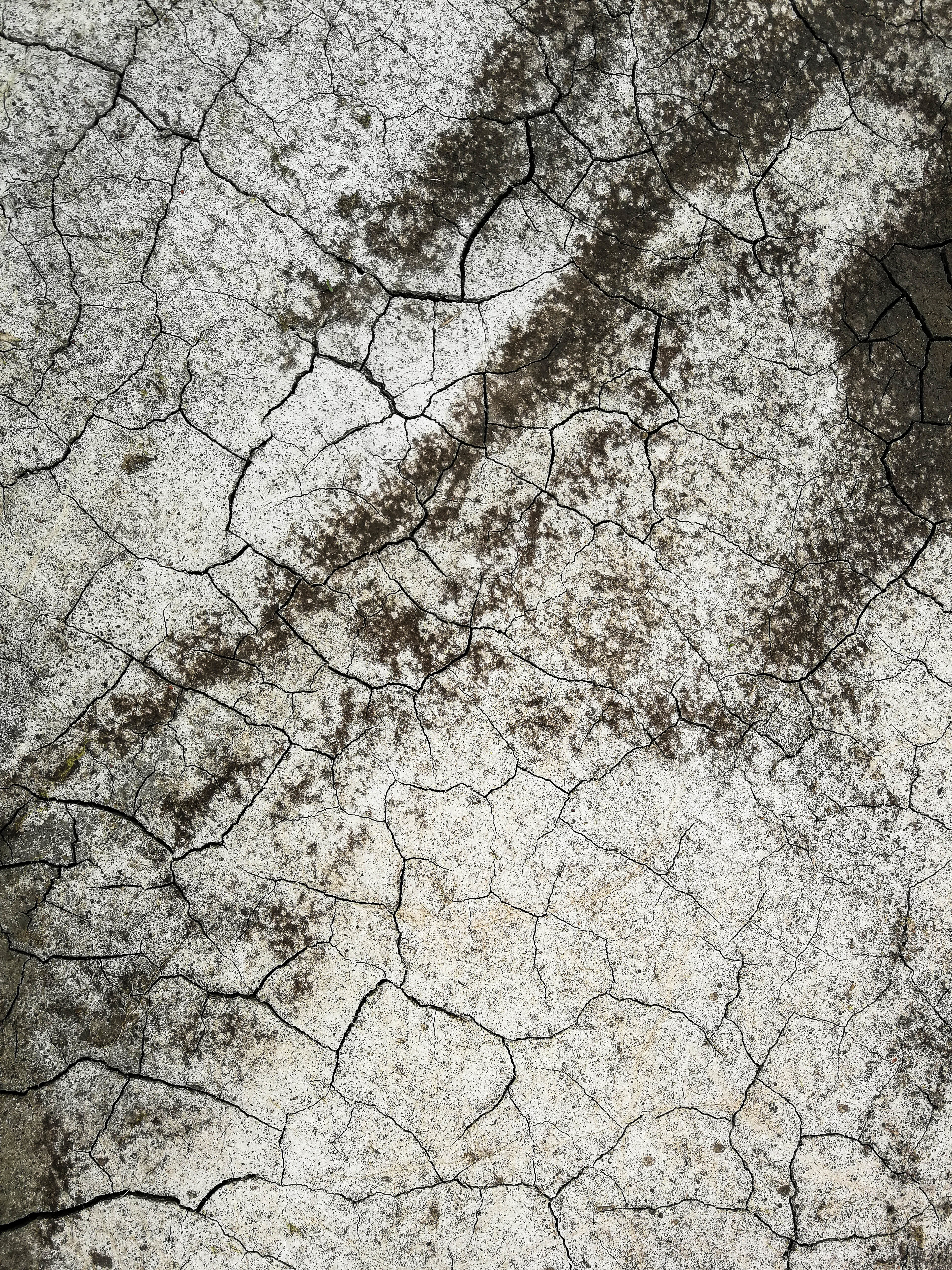 textures, earth, texture, land, cracks, crack, drought