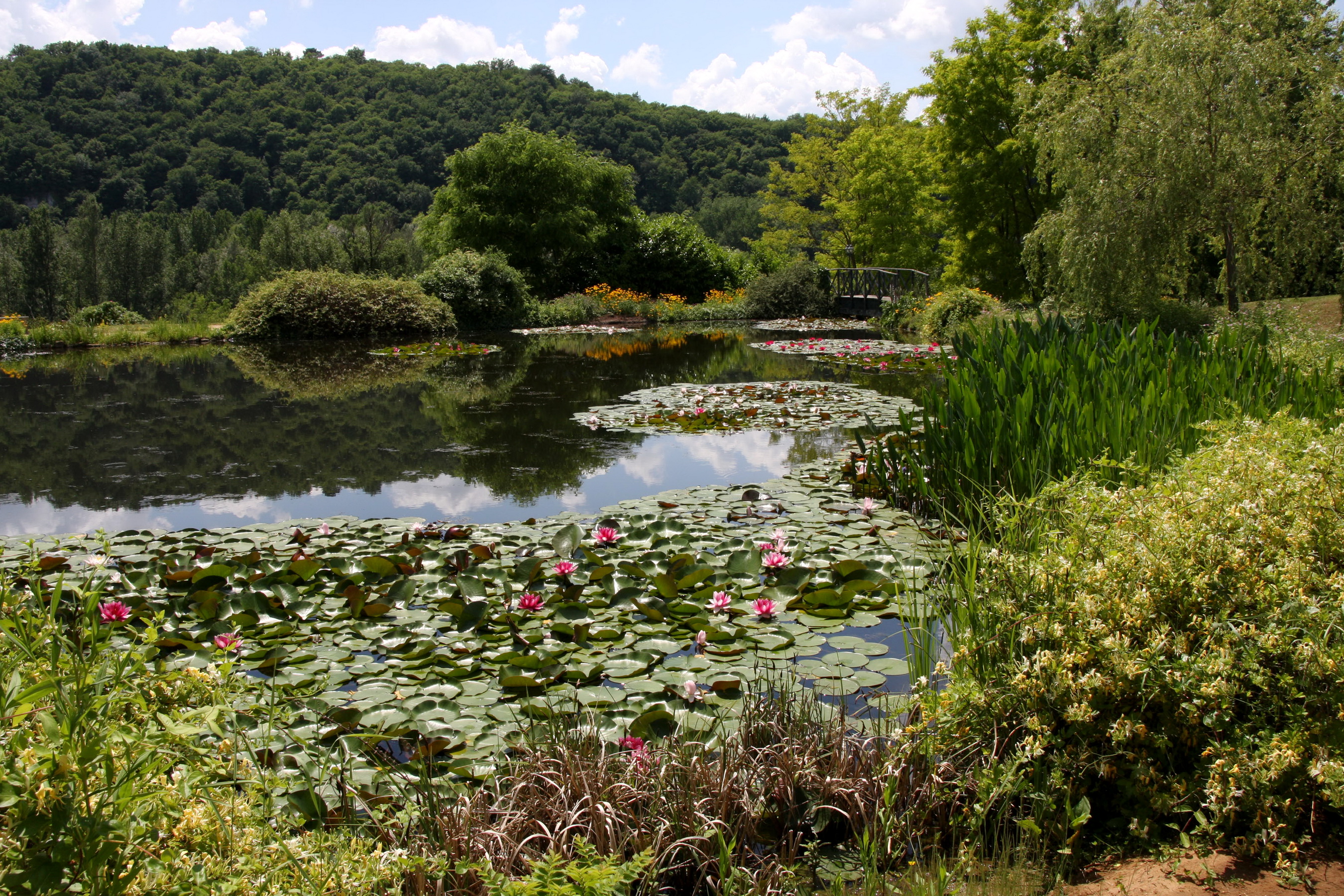 Laden Sie das Garten, Menschengemacht-Bild kostenlos auf Ihren PC-Desktop herunter