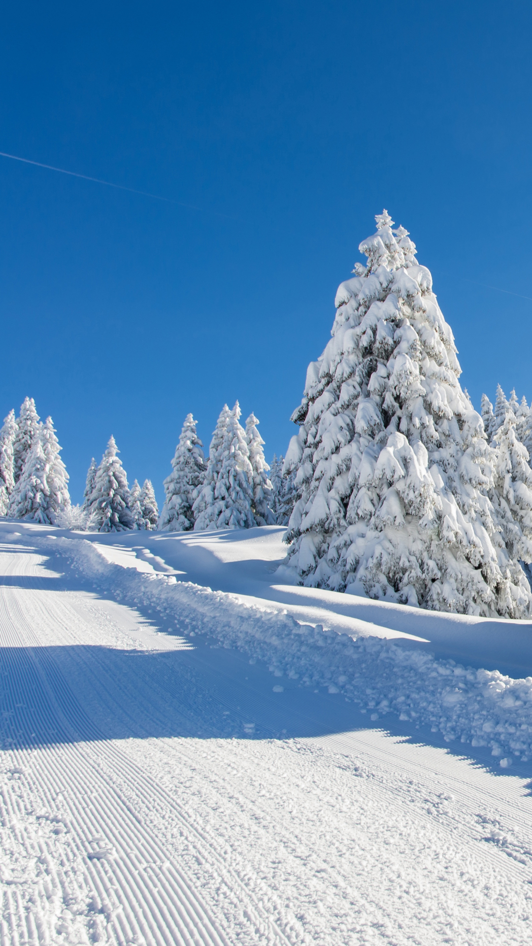 Handy-Wallpaper Winter, Schnee, Baum, Erde, Erde/natur kostenlos herunterladen.