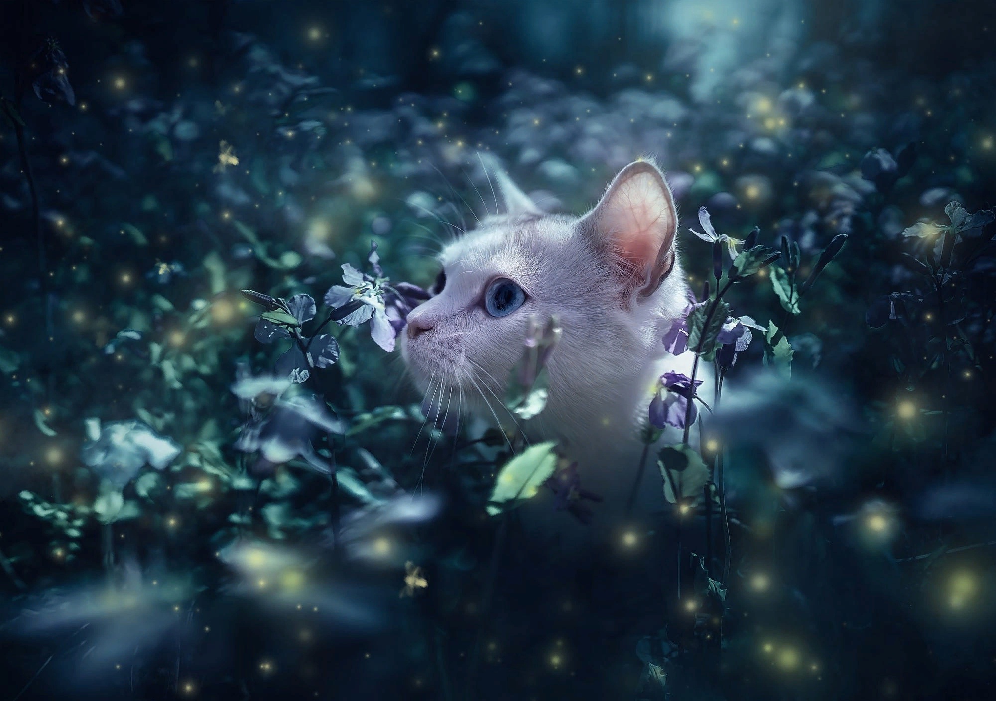 Download mobile wallpaper Cats, Flower, Cat, Animal for free.