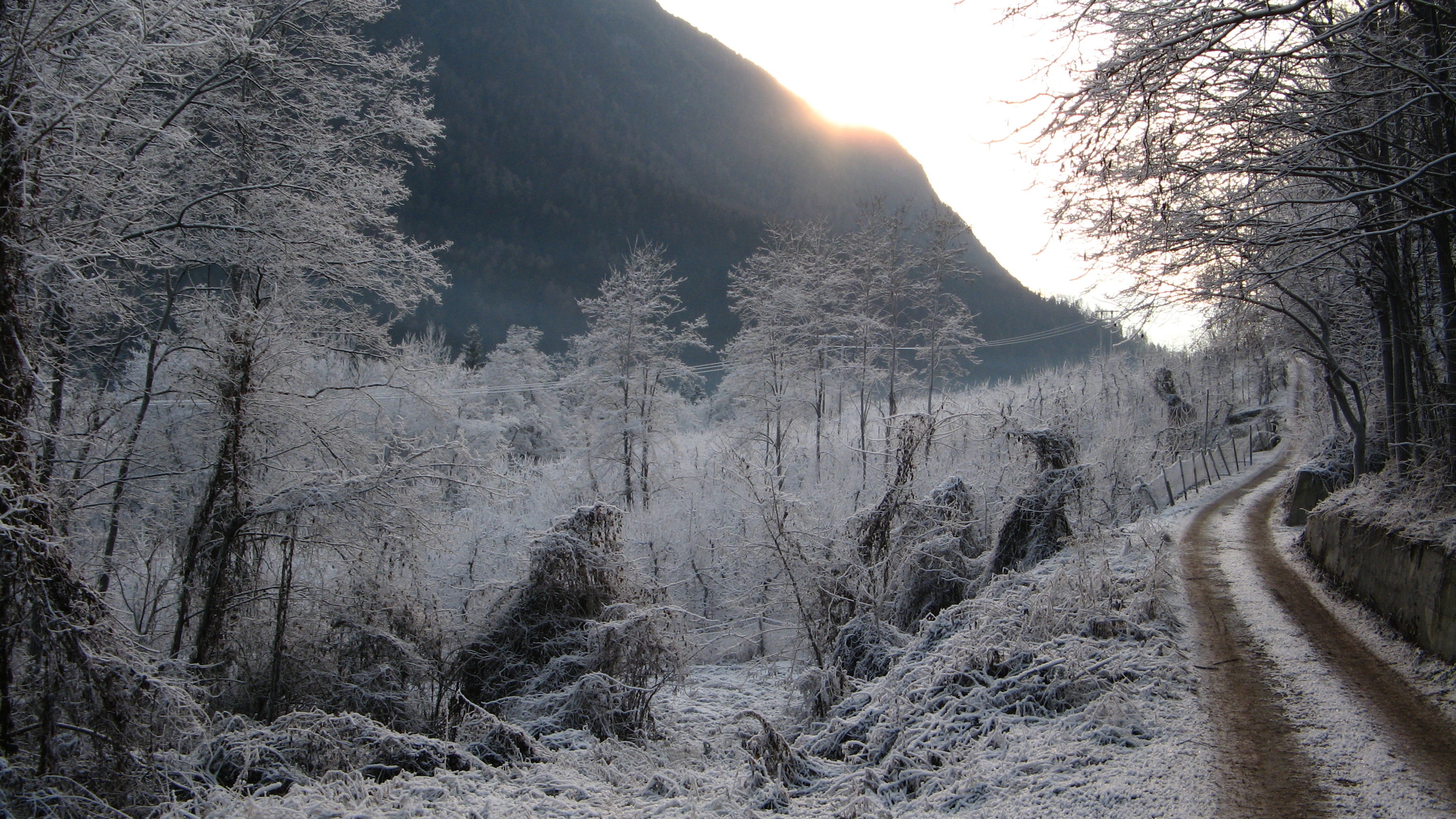 frost, winter, nature, road, hoarfrost, gray hair, gloomy, cold, country, countryside, melancholy, yearning
