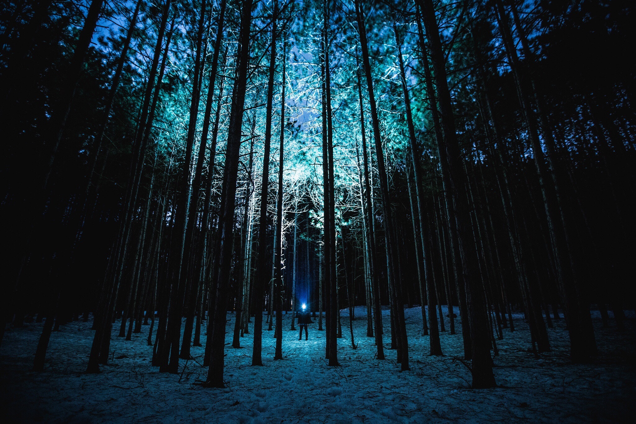 Скачать картинку Деревья, Ночь, Природа, Лес, Свет, Человек в телефон бесплатно.