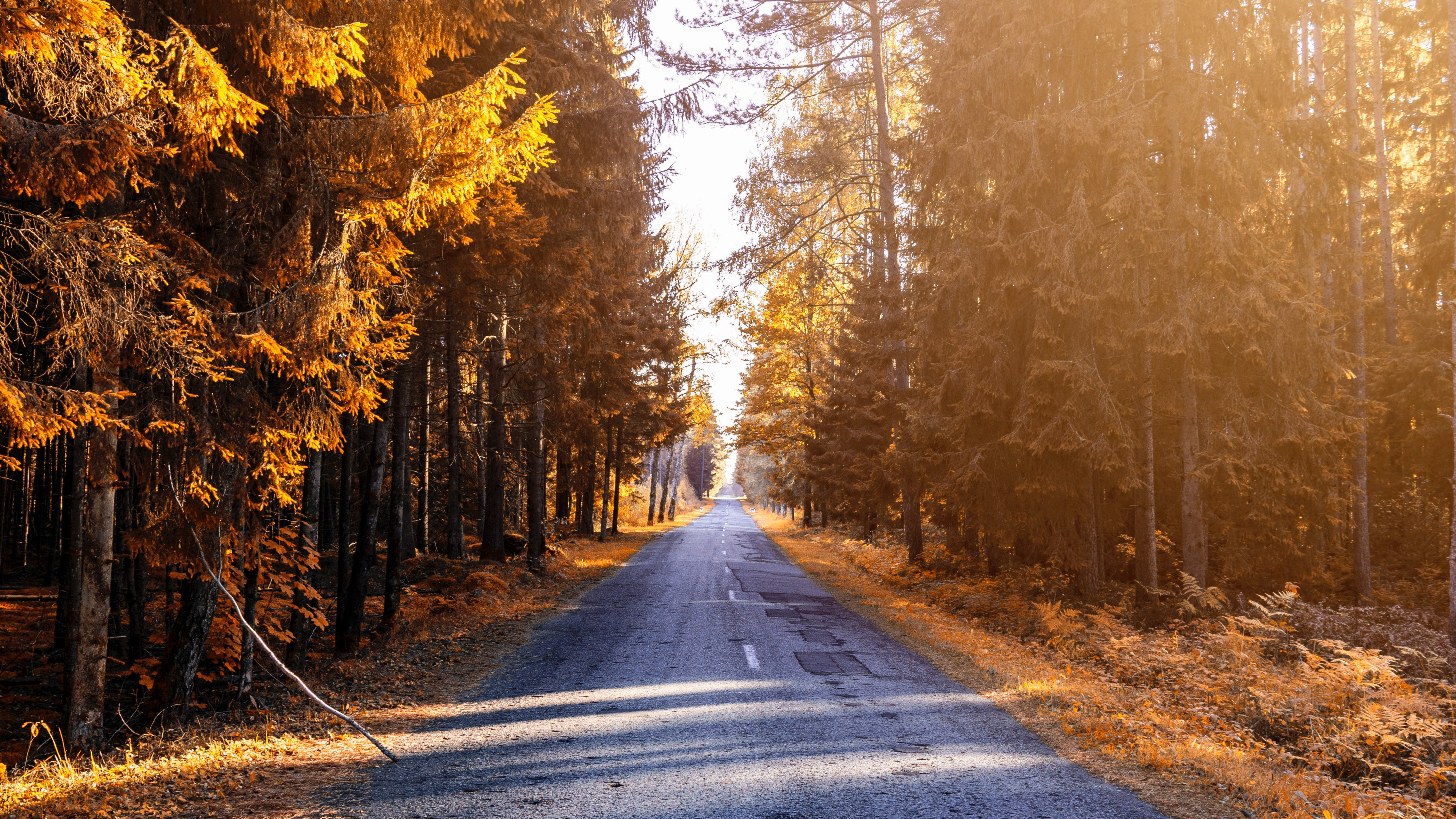 Laden Sie das Herbst, Straße, Menschengemacht-Bild kostenlos auf Ihren PC-Desktop herunter