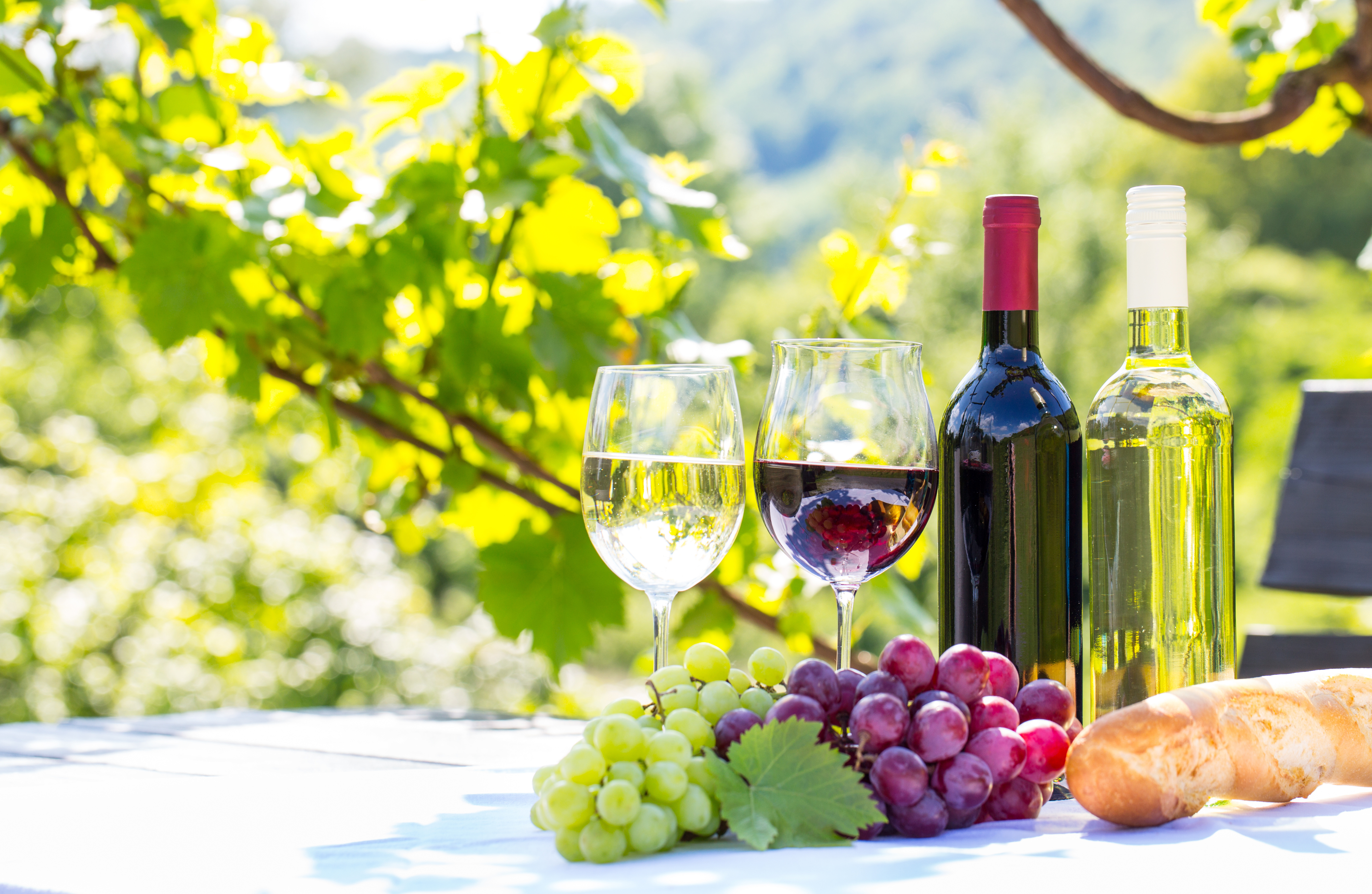 glass, food, wine, bottle, grapes, still life