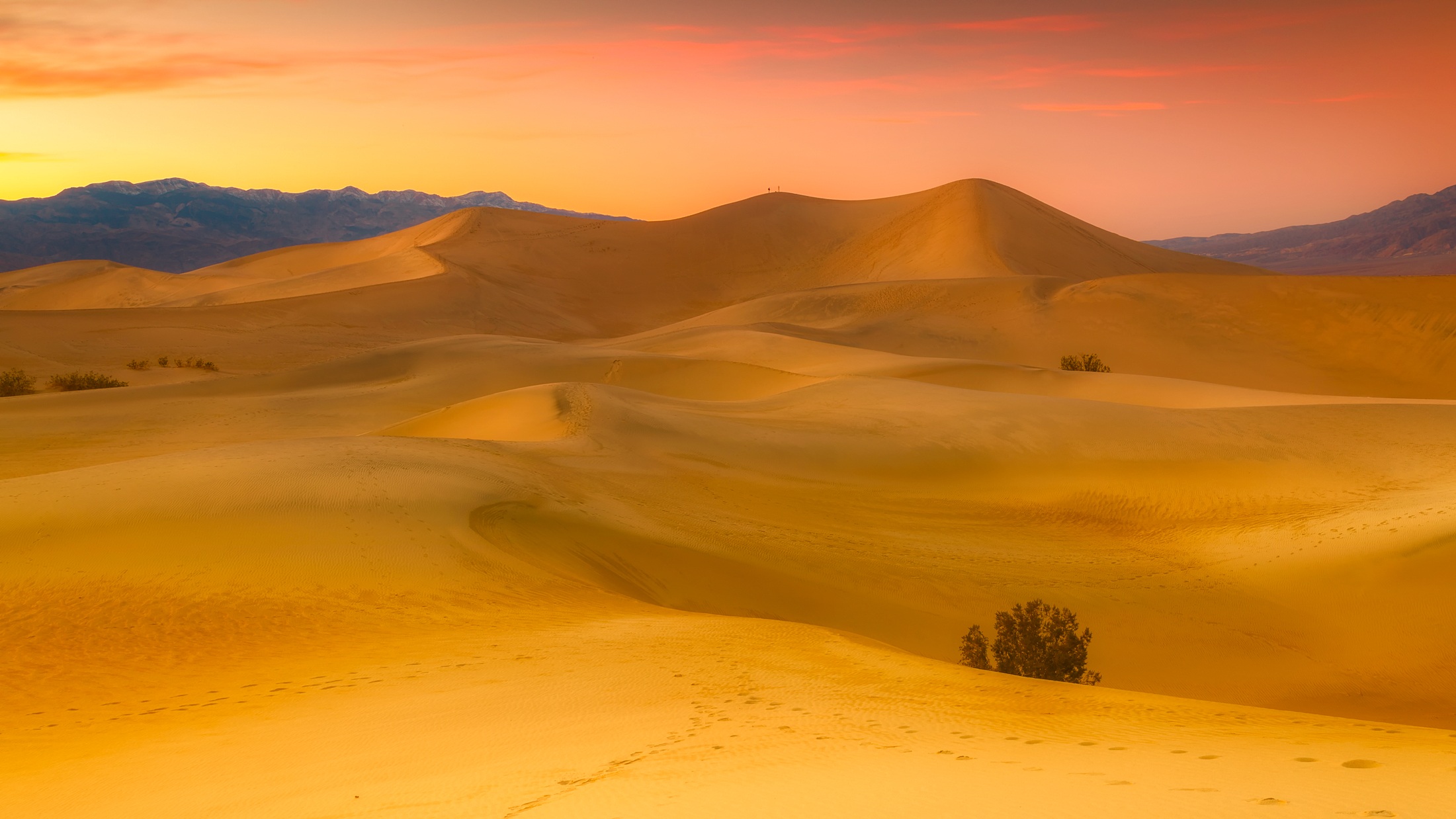 Скачать обои бесплатно Природа, Закат, Песок, Пустыня, Холм, Дюна, Калифорния, Земля/природа картинка на рабочий стол ПК