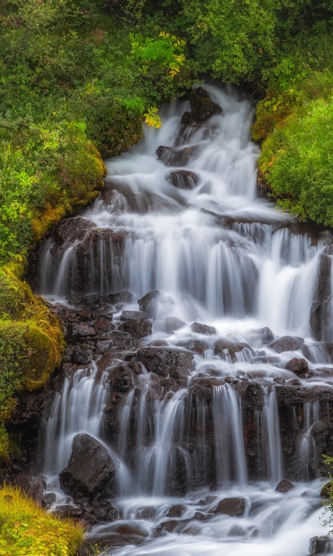 Descarga gratuita de fondo de pantalla para móvil de Naturaleza, Cascadas, Arbusto, Cascada, Tierra/naturaleza.