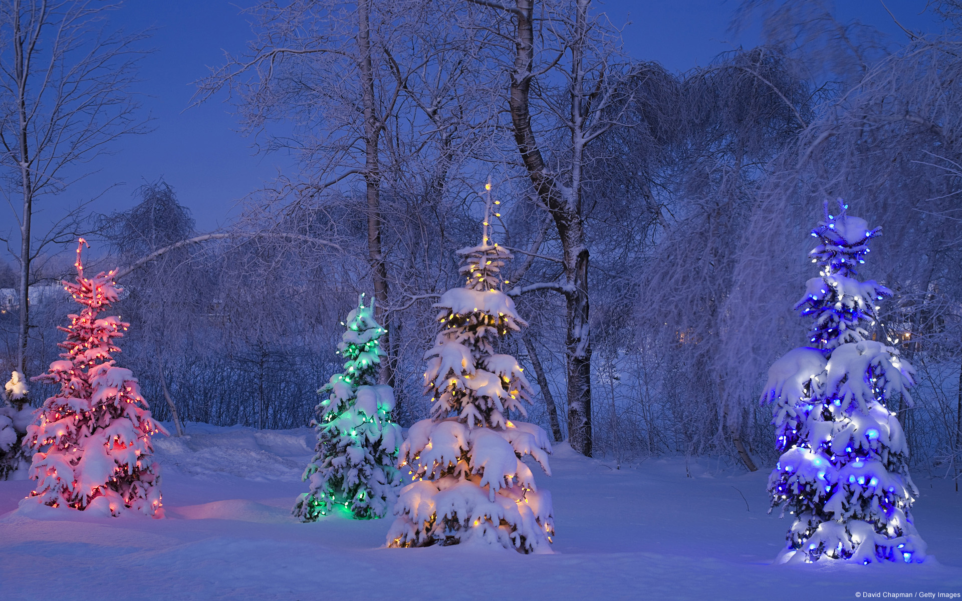 Descarga gratuita de fondo de pantalla para móvil de Invierno, Nieve, Navidad, Luz, Día Festivo, Colores, Árbol De Navidad.