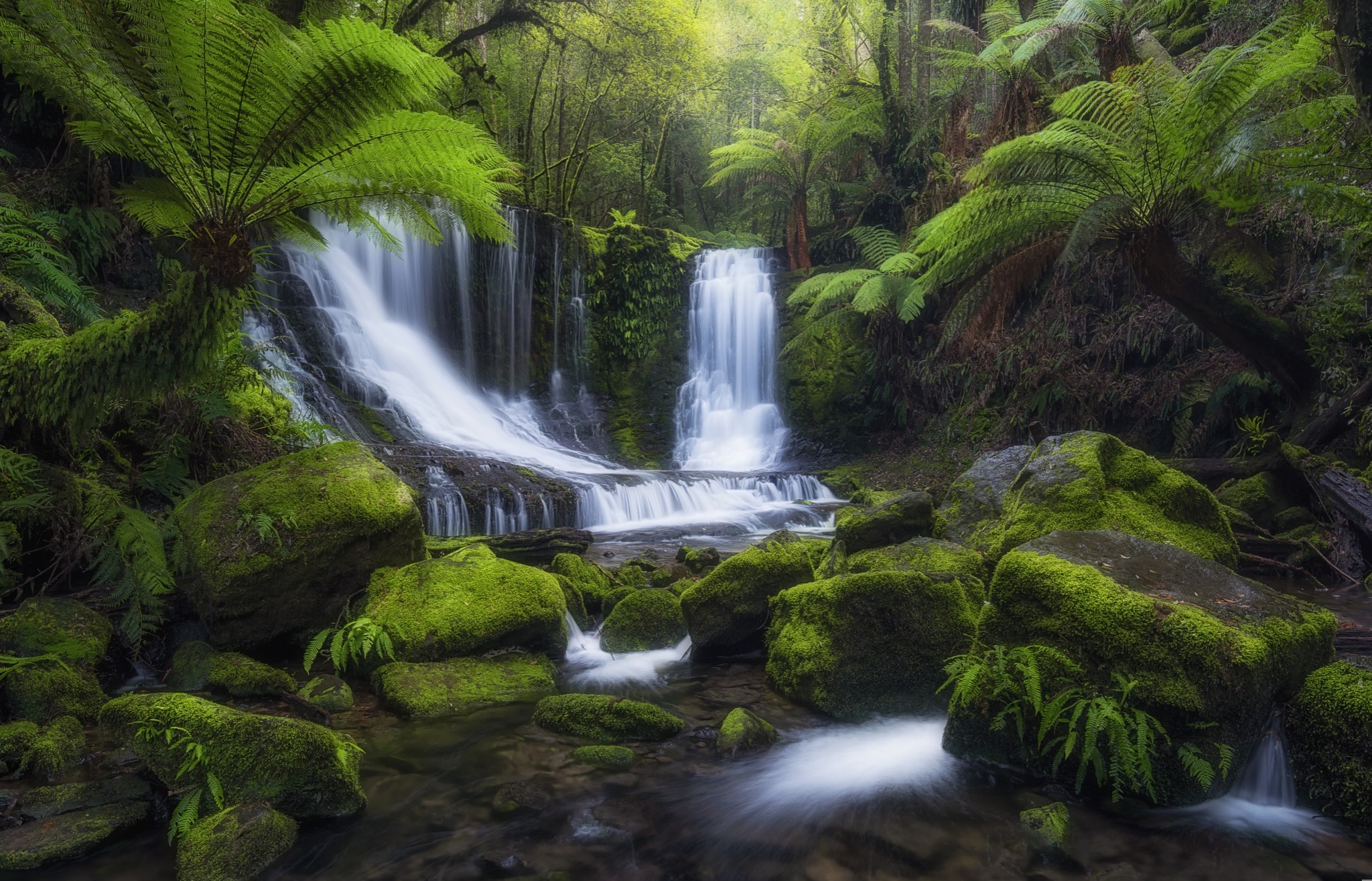 Free download wallpaper Waterfalls, Waterfall, Forest, Earth, Moss, Tropical on your PC desktop