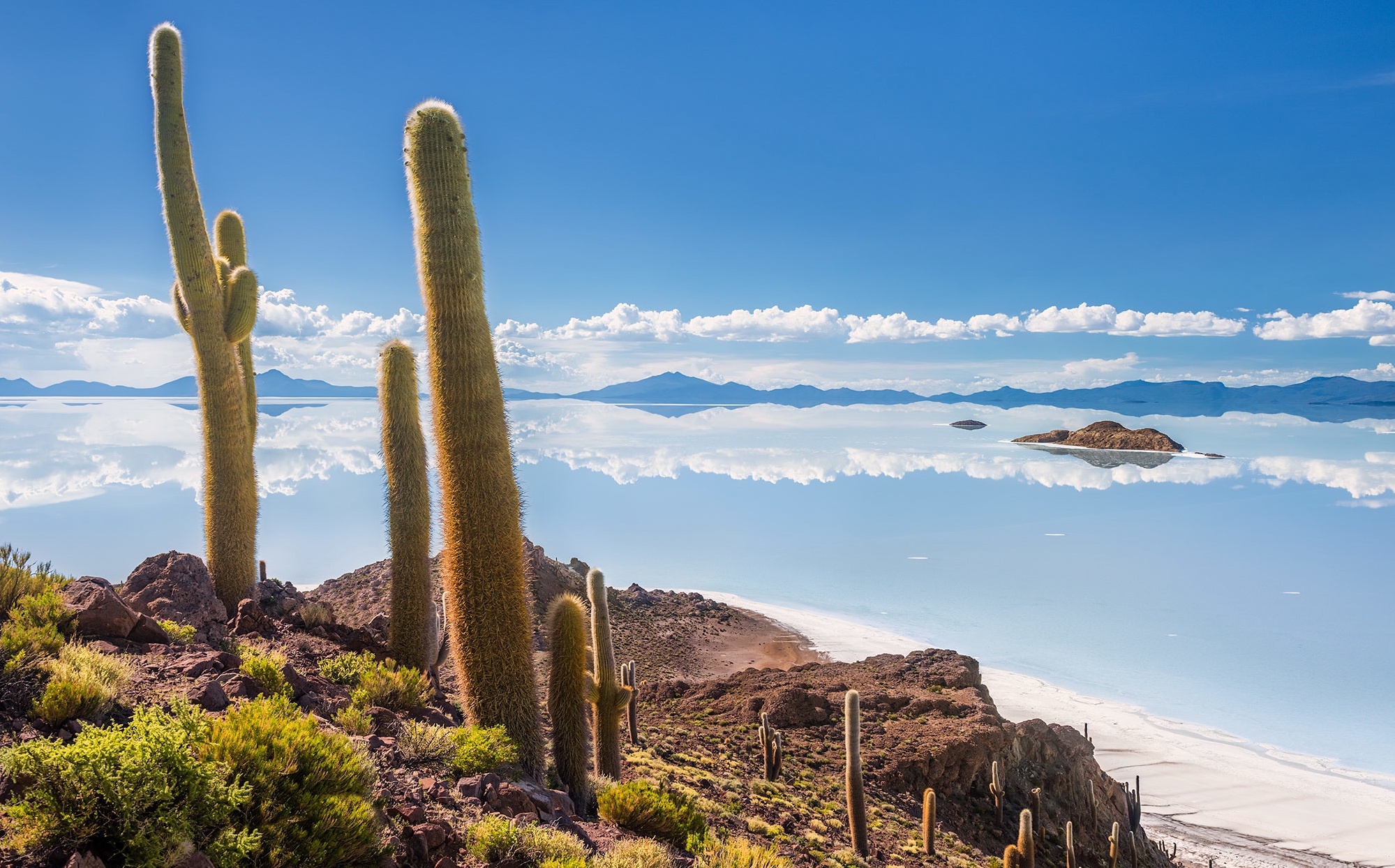 Descarga gratuita de fondo de pantalla para móvil de Cactus, Cielo, Mar, Costa, Nube, Bolivia, Tierra/naturaleza.
