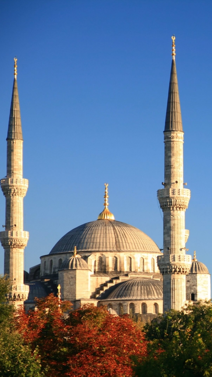 Скачать картинку Здание, Мечеть, Строительство, Религиозные, Мечеть Султана Ахмеда, Мечети в телефон бесплатно.